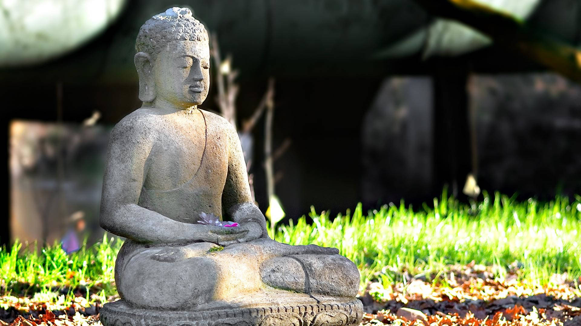 Buddhistisk Meditation Statue Wallpaper