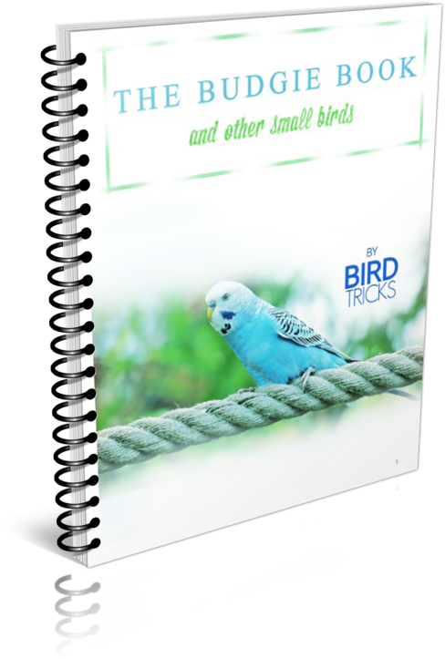 Budgie Book Cover Spiral Bound PNG