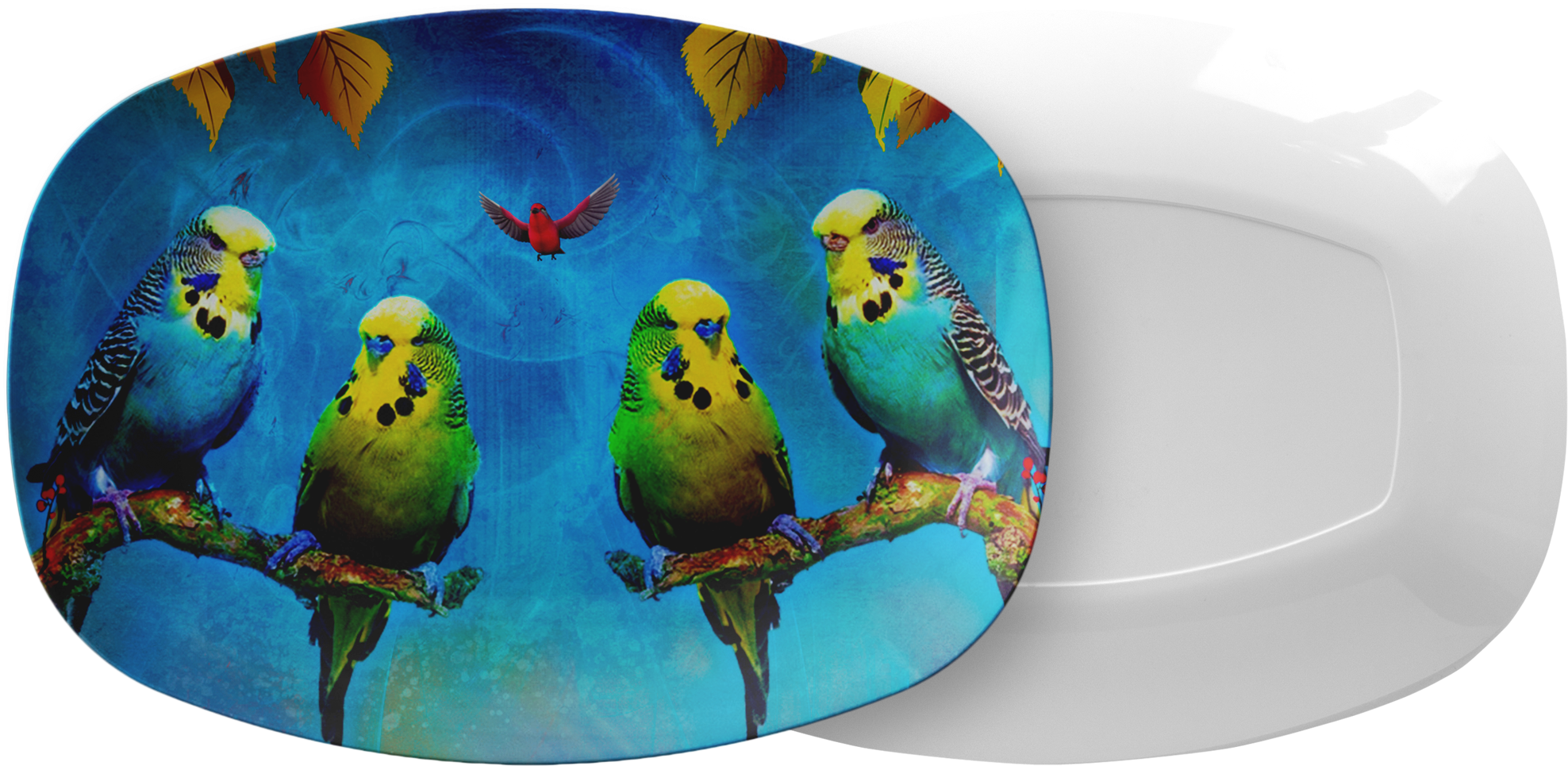 Budgie Decorated Ceramic Plate PNG