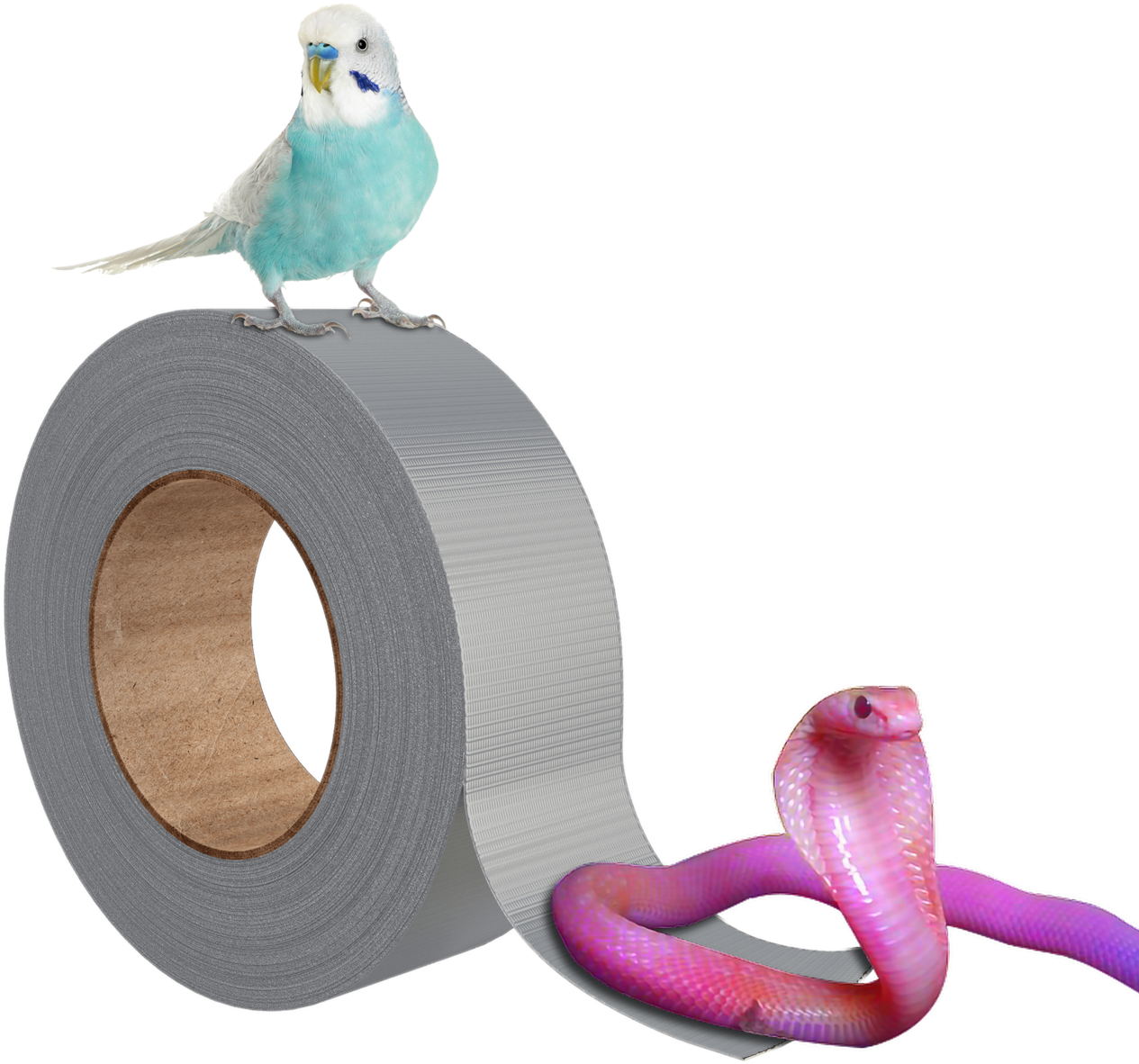 Budgieon Tape Rolland Pink Snake PNG