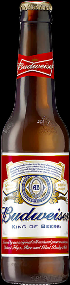 Budweiser Beer Bottle PNG