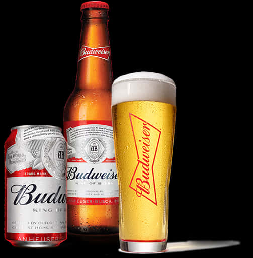 Budweiser Beer Bottle Can Glass PNG