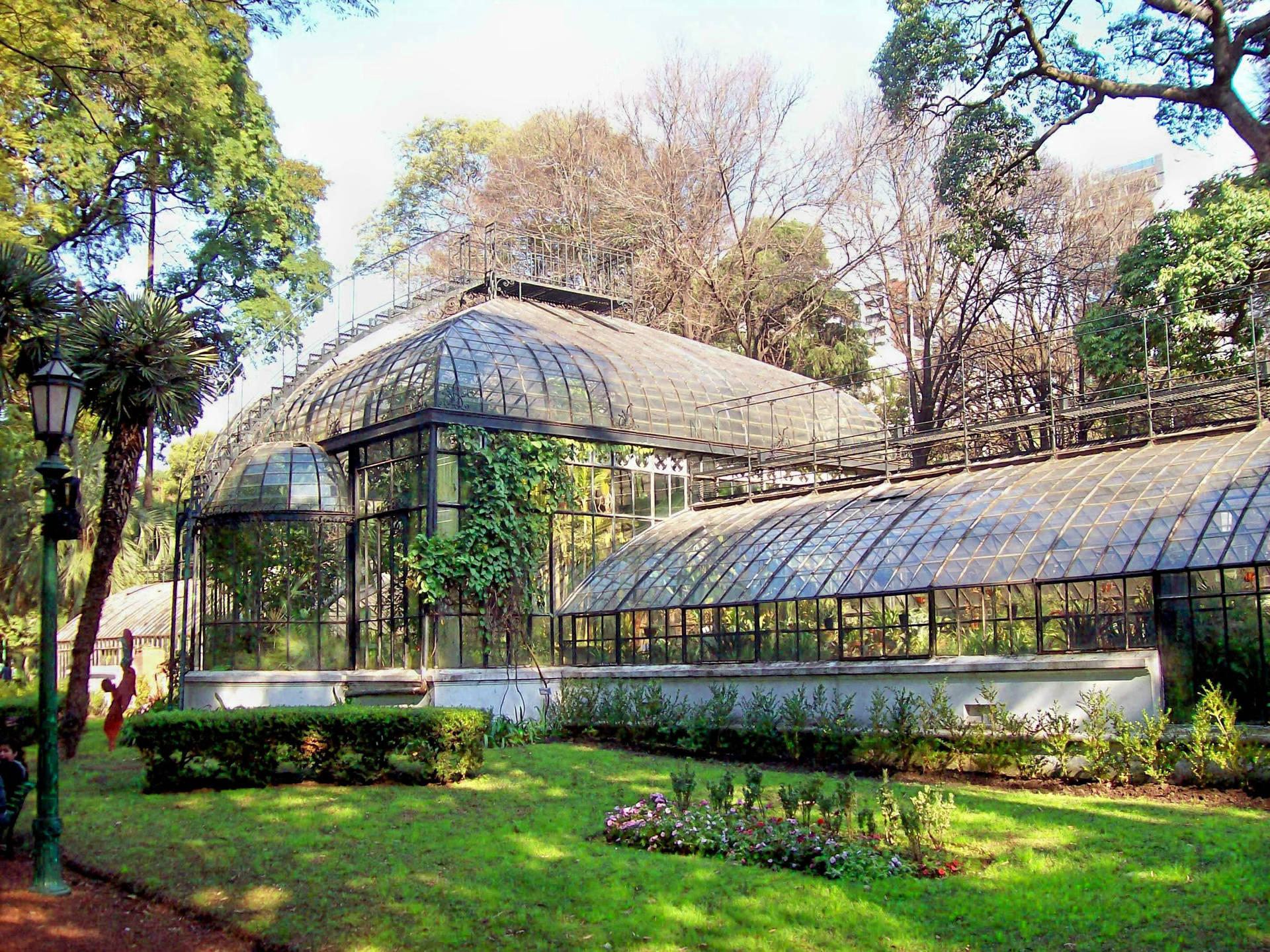 Buenos Aires Grønhuse Botanisk Have Wallpaper