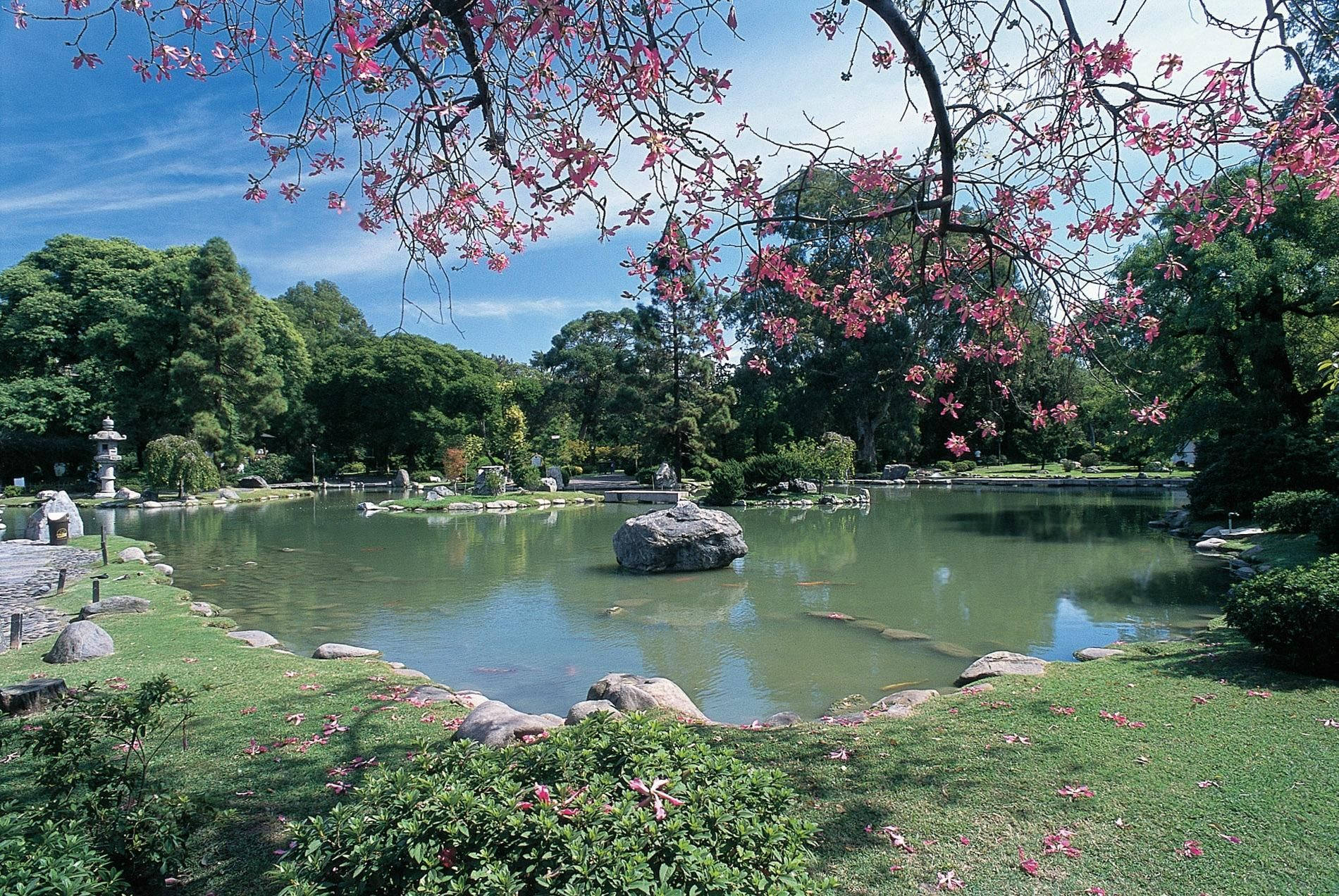Buenos Aires Tres De Febrero Park-tapetet viser et smukt landskab på en varm sommerdag. Wallpaper