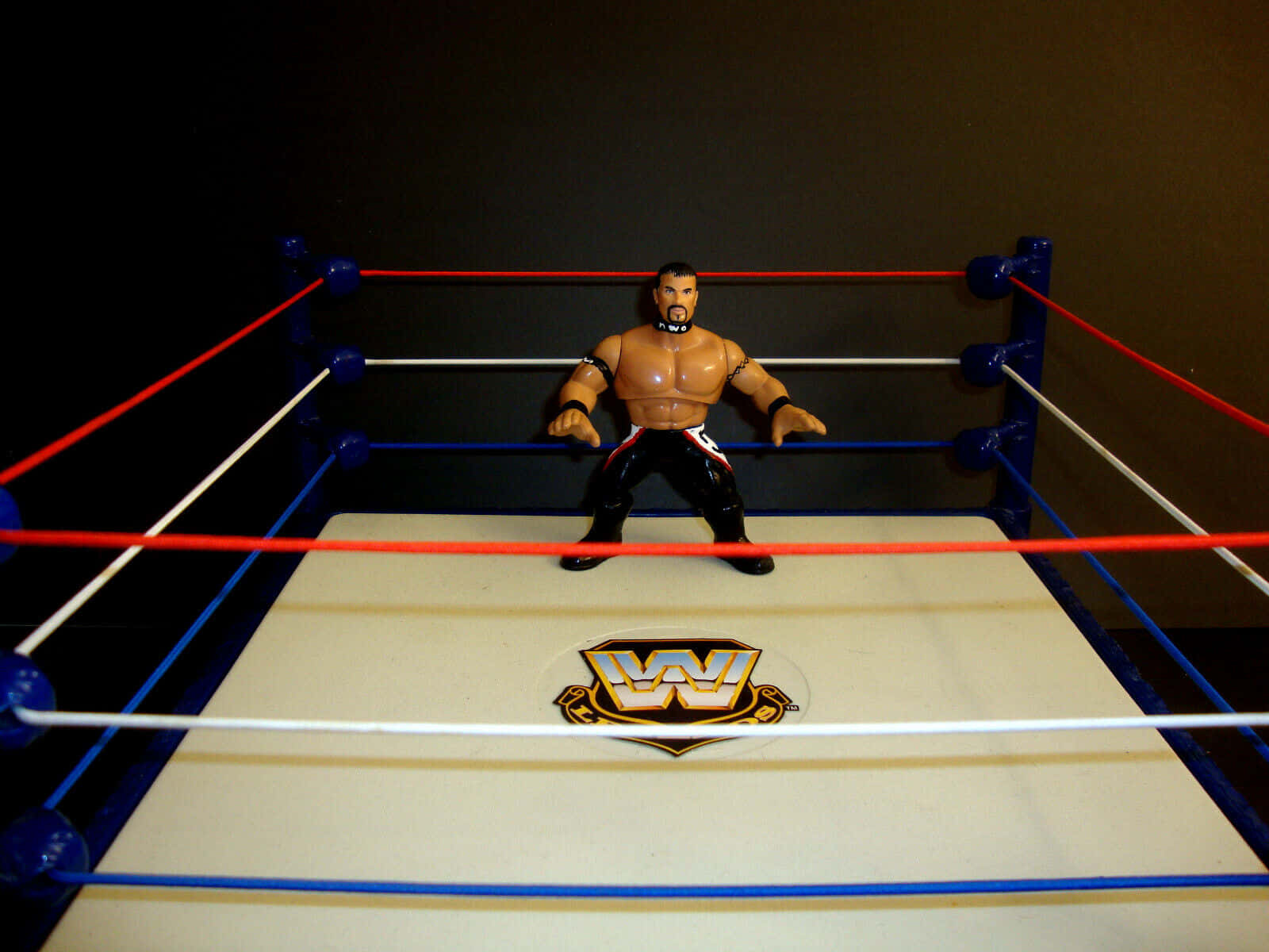 Buff Bagwell Action Figure WWE Ring Photo Wallpaper