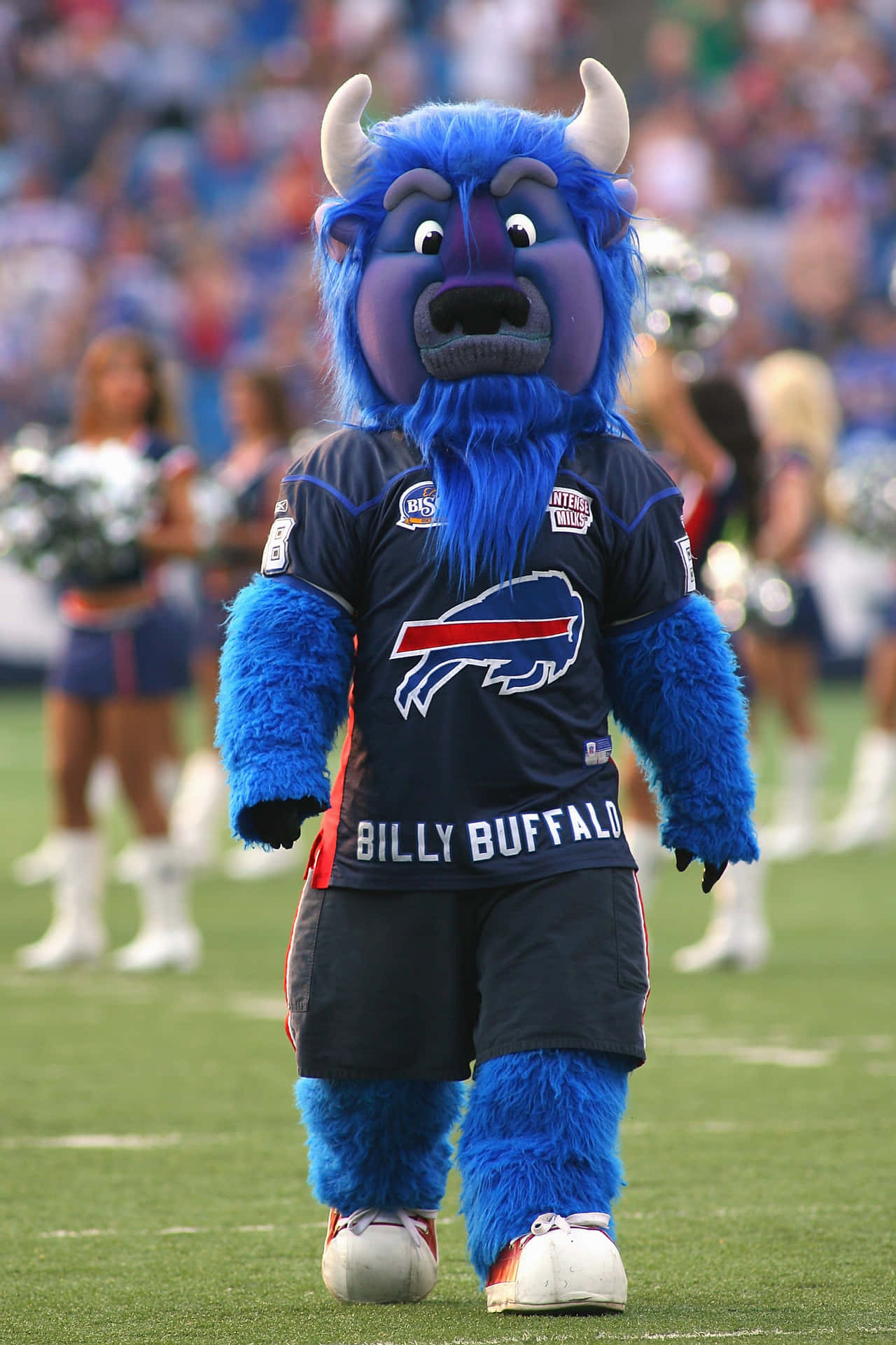 Buffalo Bills Mascot Billy Buffalo Wallpaper