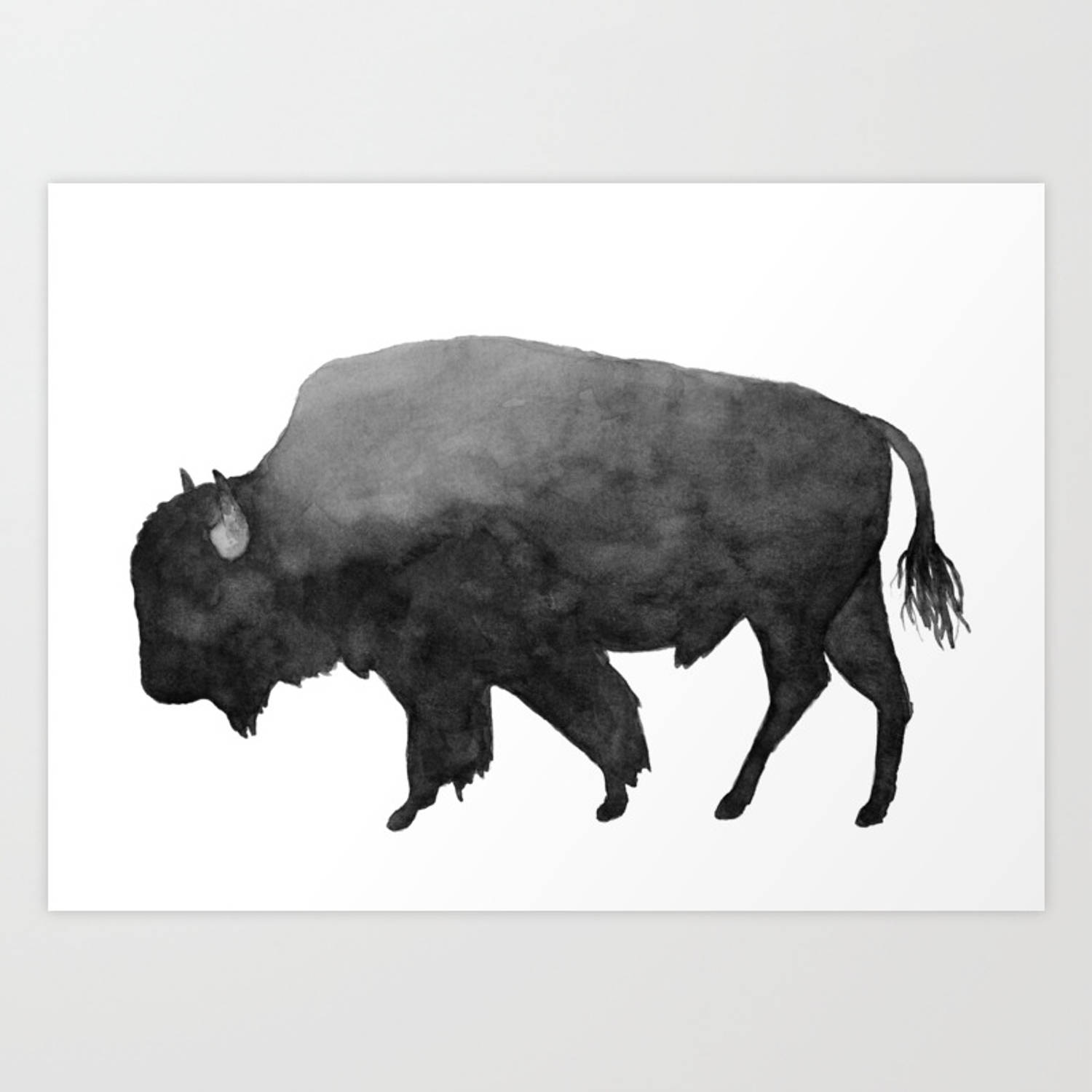 Buffalokolmålning. Wallpaper