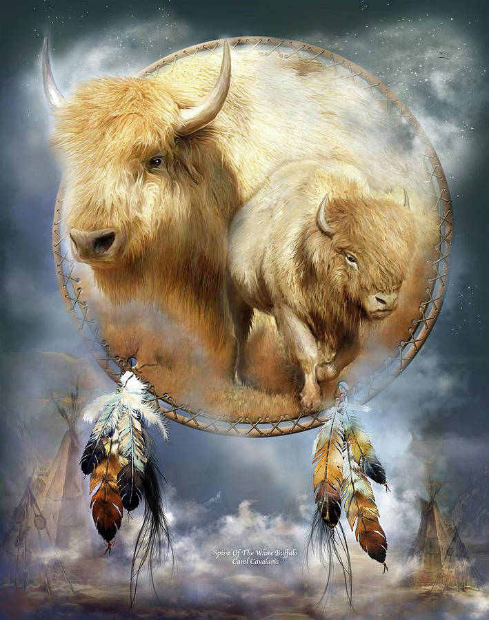 Majestic Buffalo with Dream Catcher Design Wallpaper