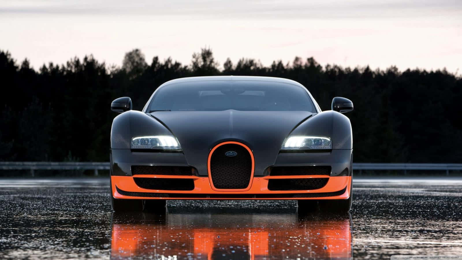 The Bold and Powerful Bugatti Car Wallpaper
