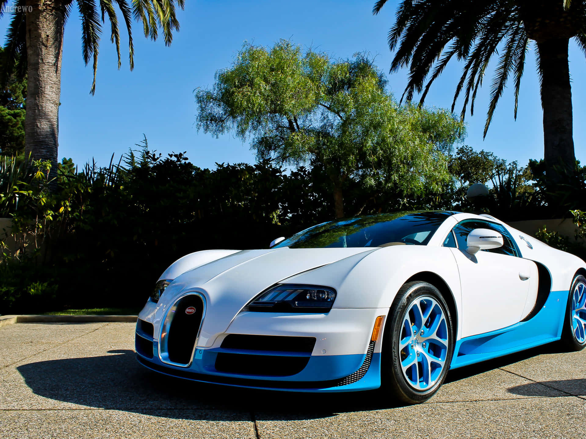 Bugatti Chiron in its full glory Wallpaper