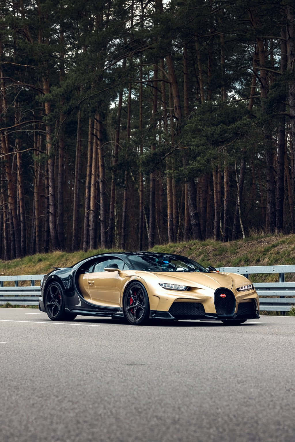"The Luxury of Speed - The Bugatti"