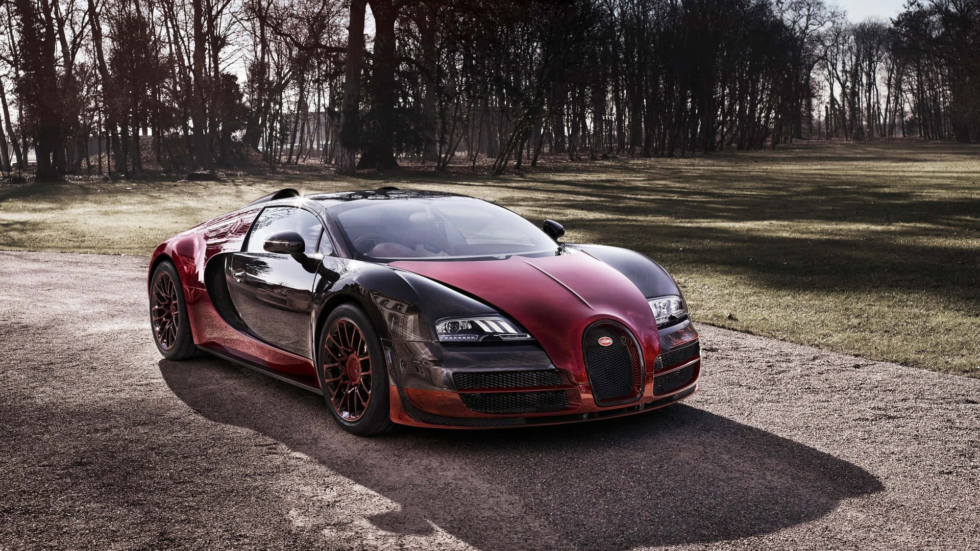 Caption: Bugatti Veyron Cruising in Style Wallpaper