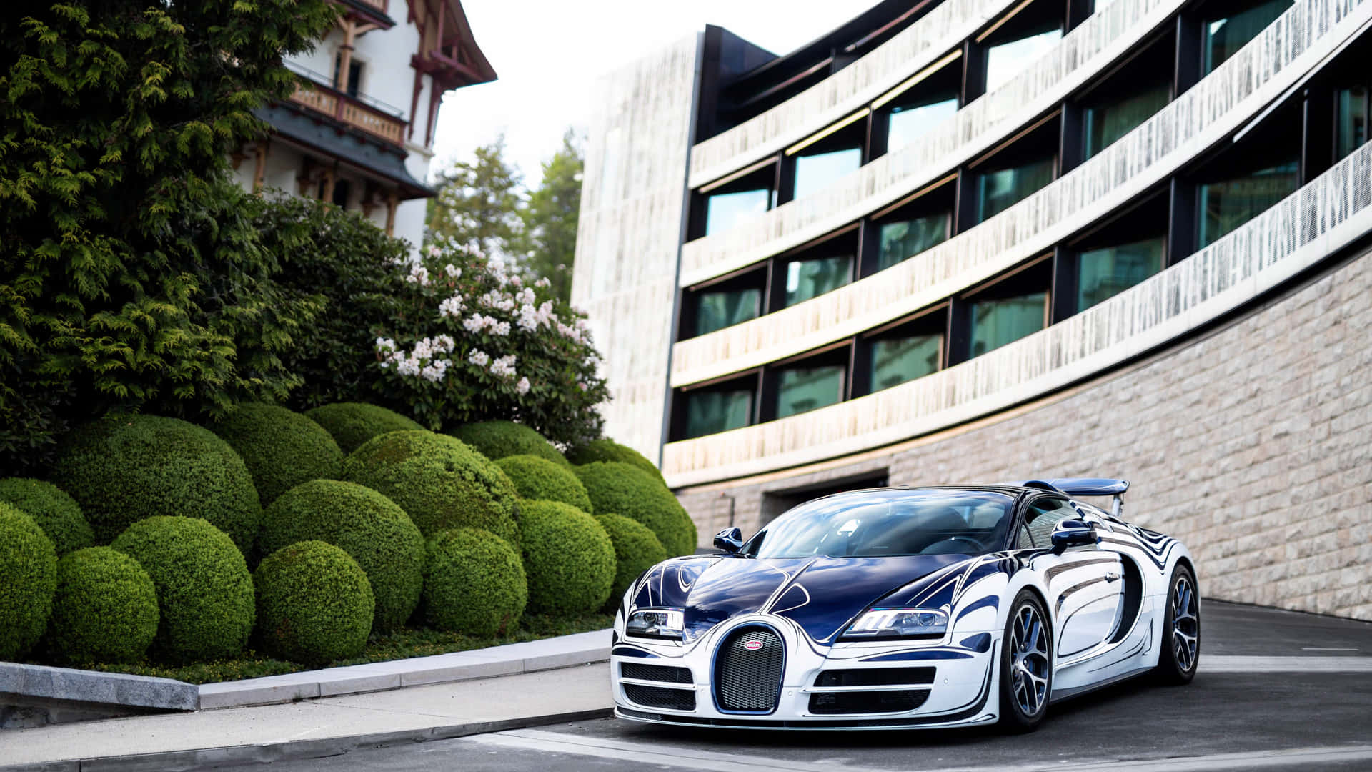Stunning Bugatti Veyron Super Sport in Action Wallpaper