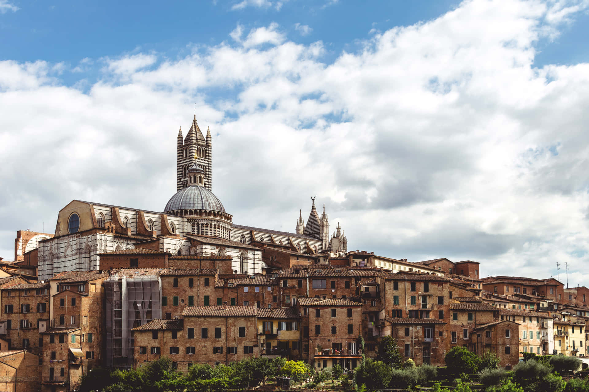 Buildings Near Duomo Di Siena Picture