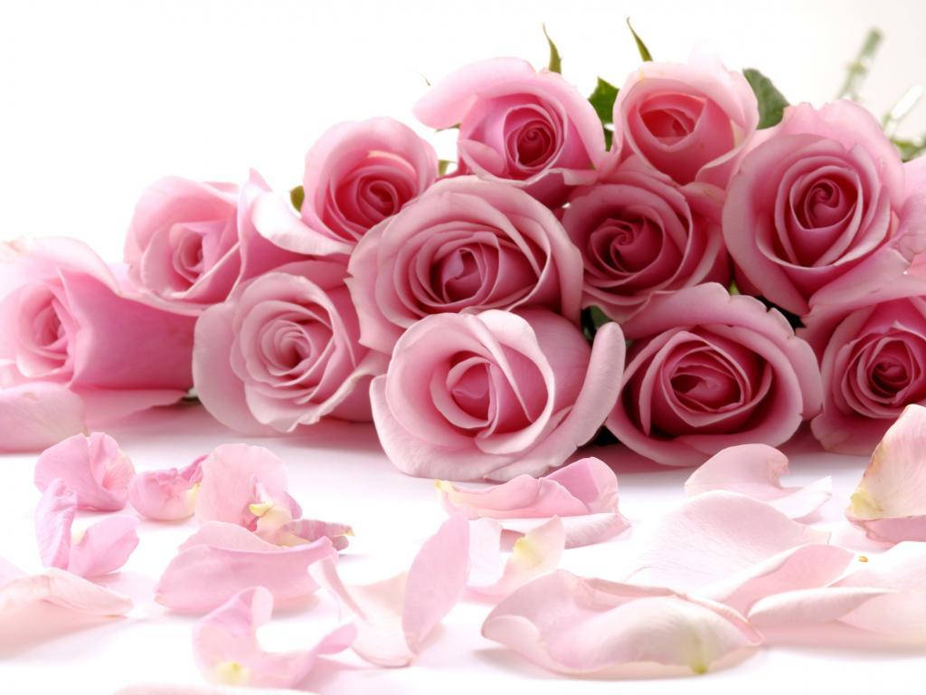 Buket Pink Rose Blomster Wallpaper