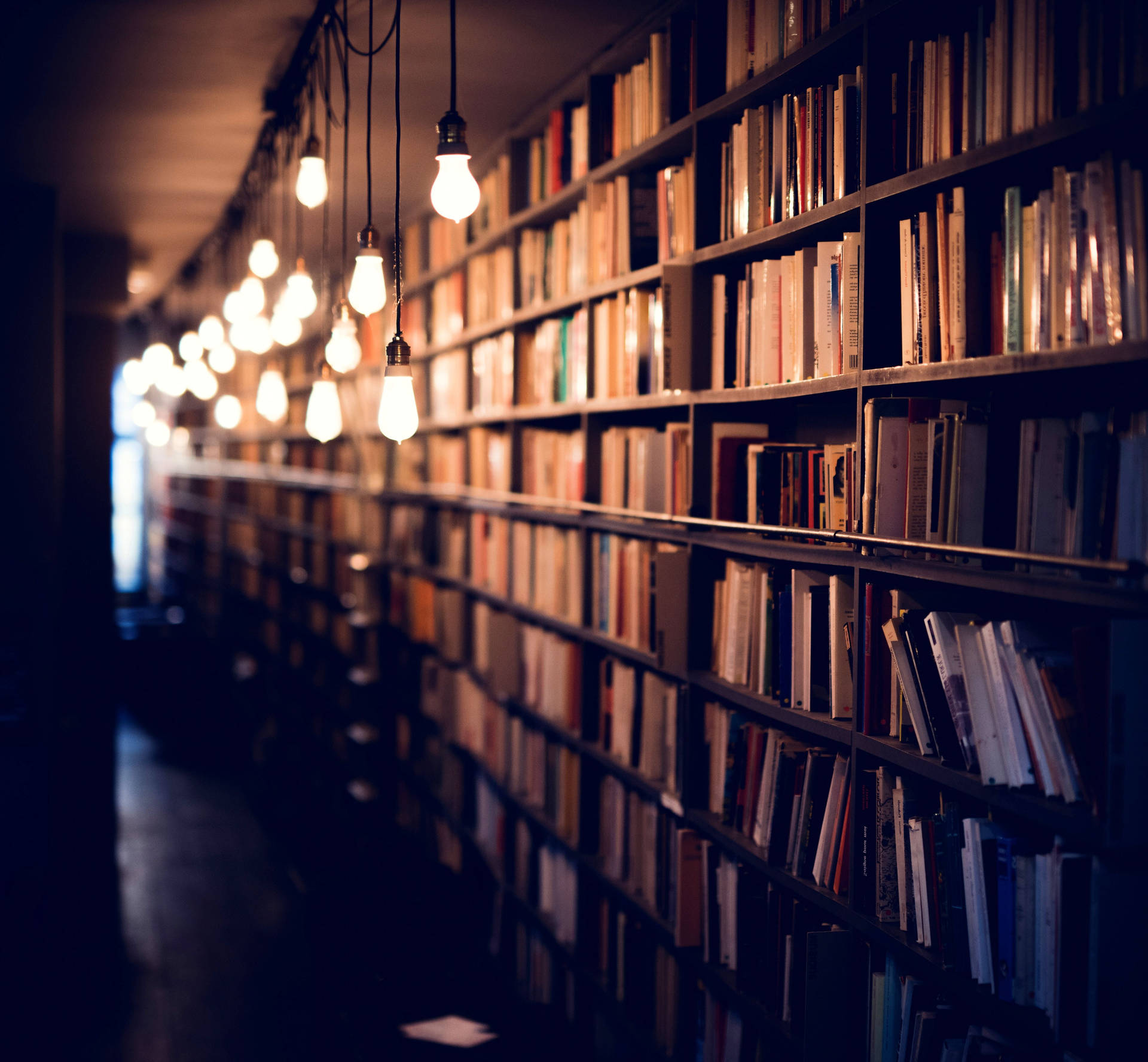 Bulbs Along Shelves Filled With Books Wallpaper