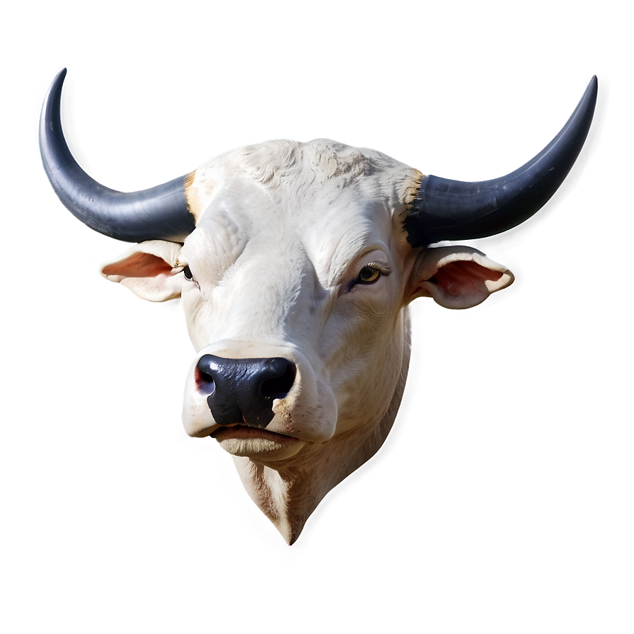 Bull Head B PNG