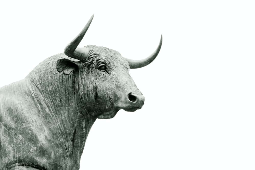 Grayscale Bull Statue Picture