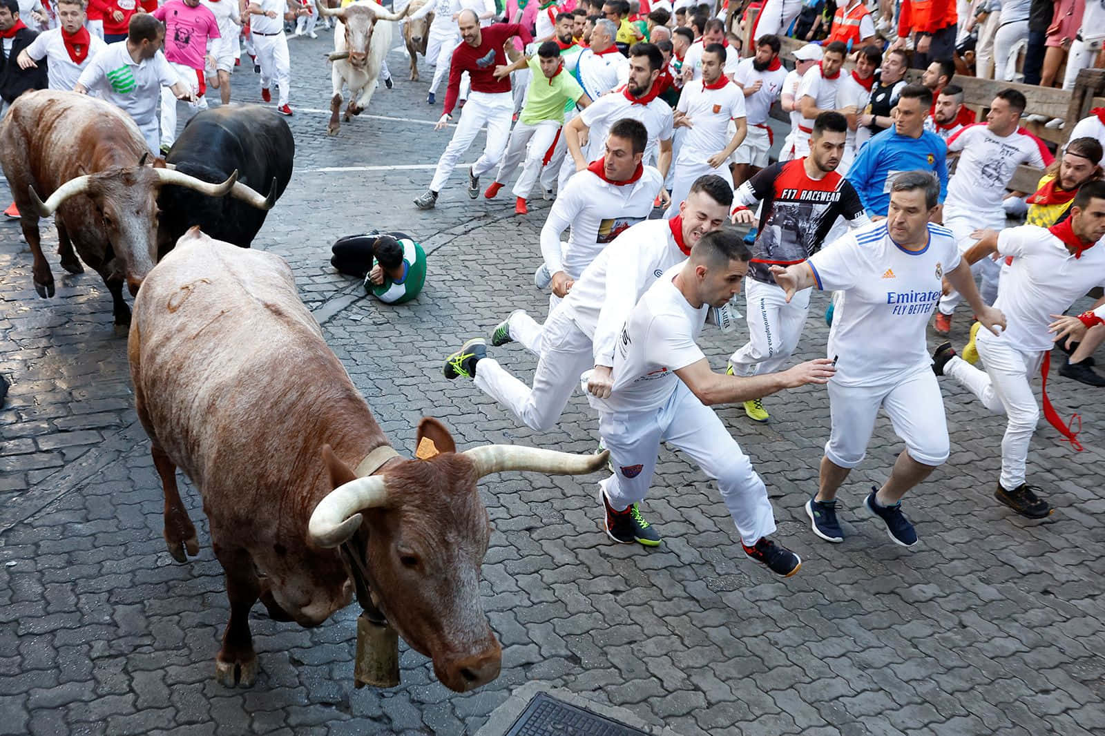 San Fermín Bull Festival Picture