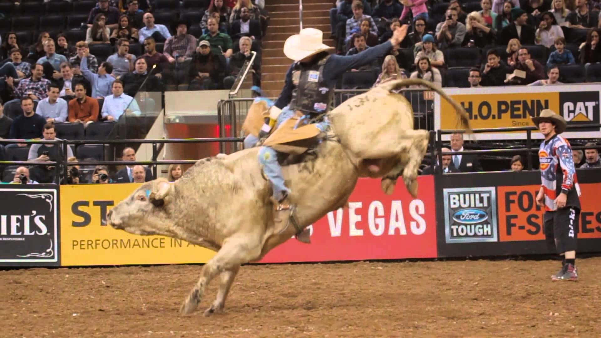 Professional Bull Rider Showing Perfect Form