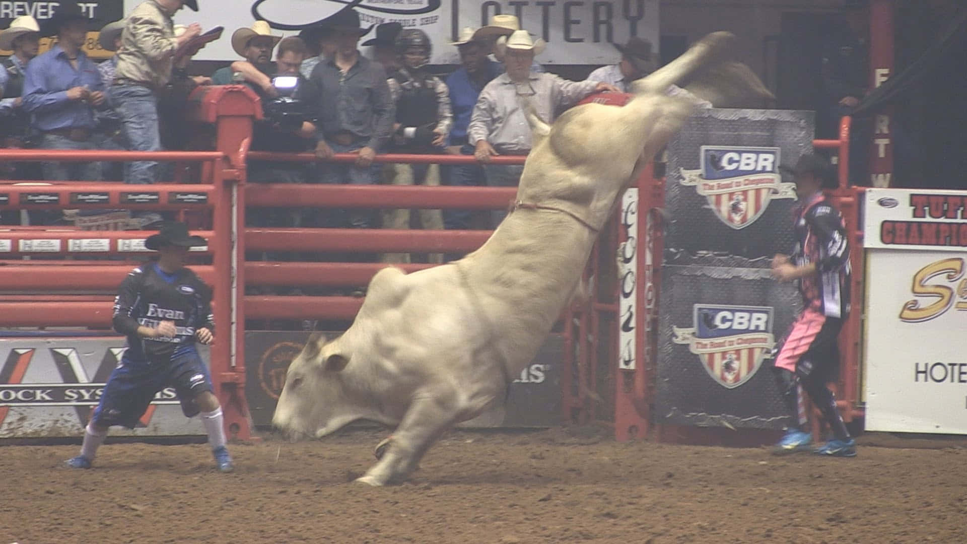 A bull rider shows off their skills in a rodeo