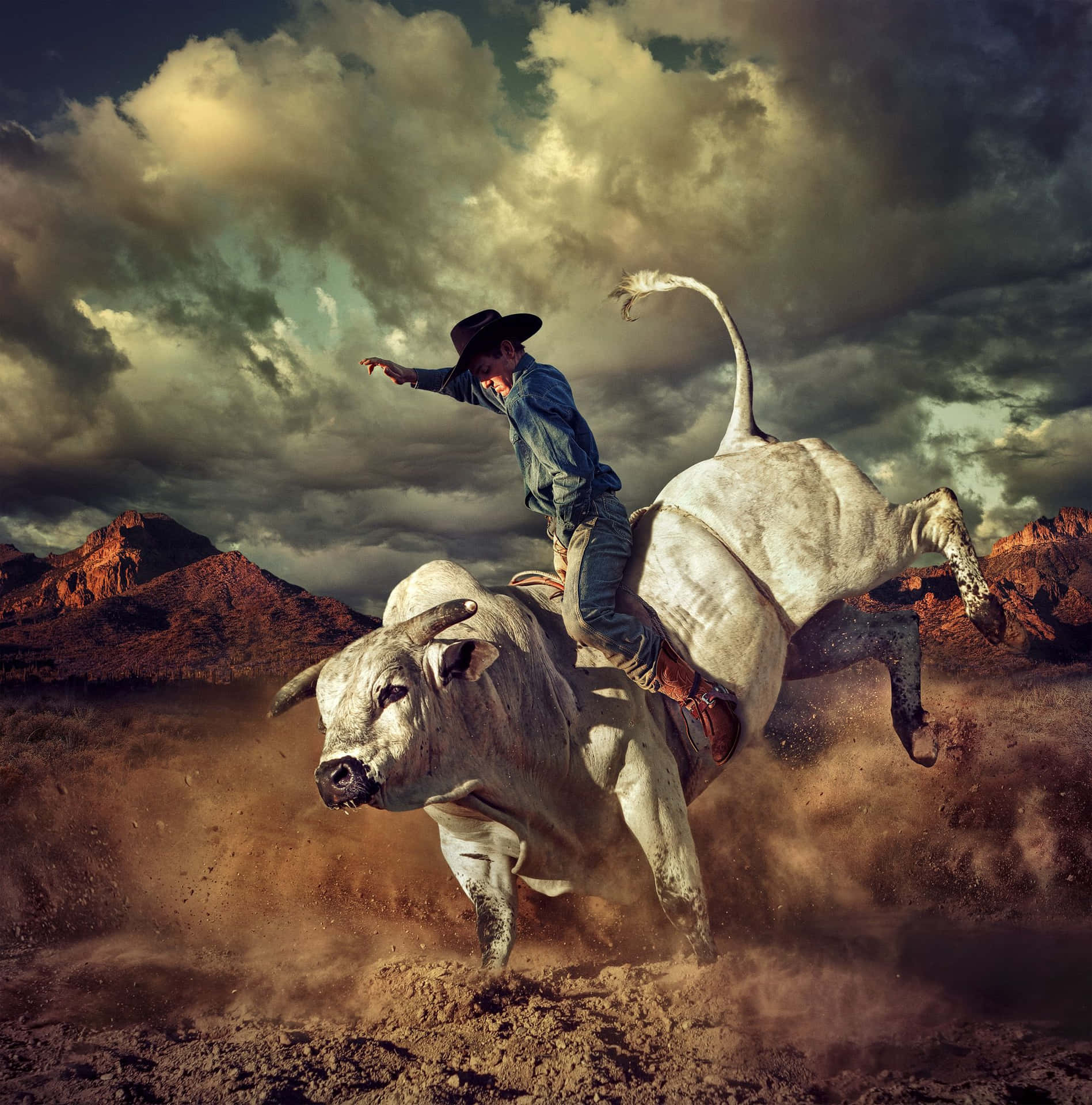 Braving the Wild on the Back of a Bull