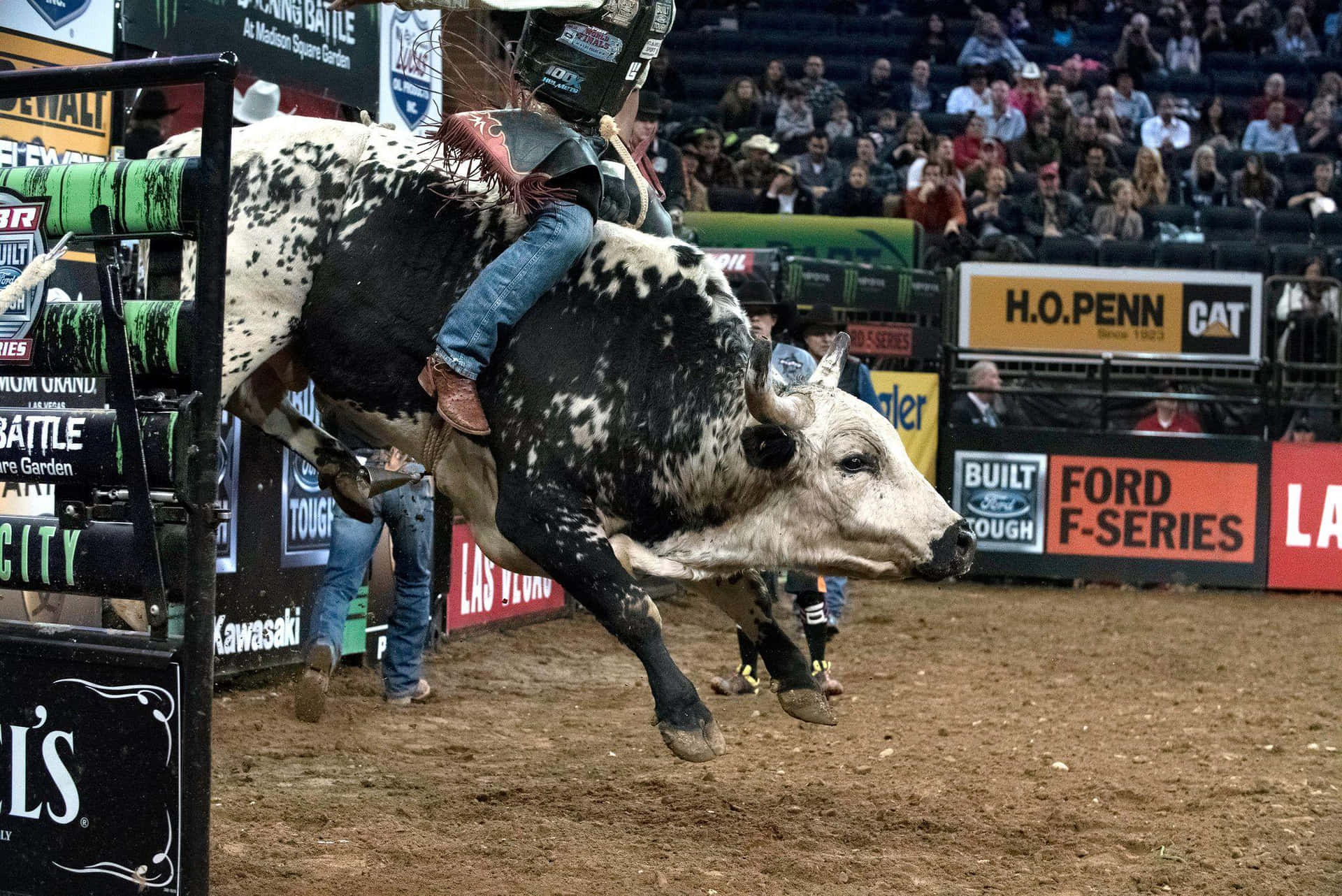 Master of the Sport - Bull Riding