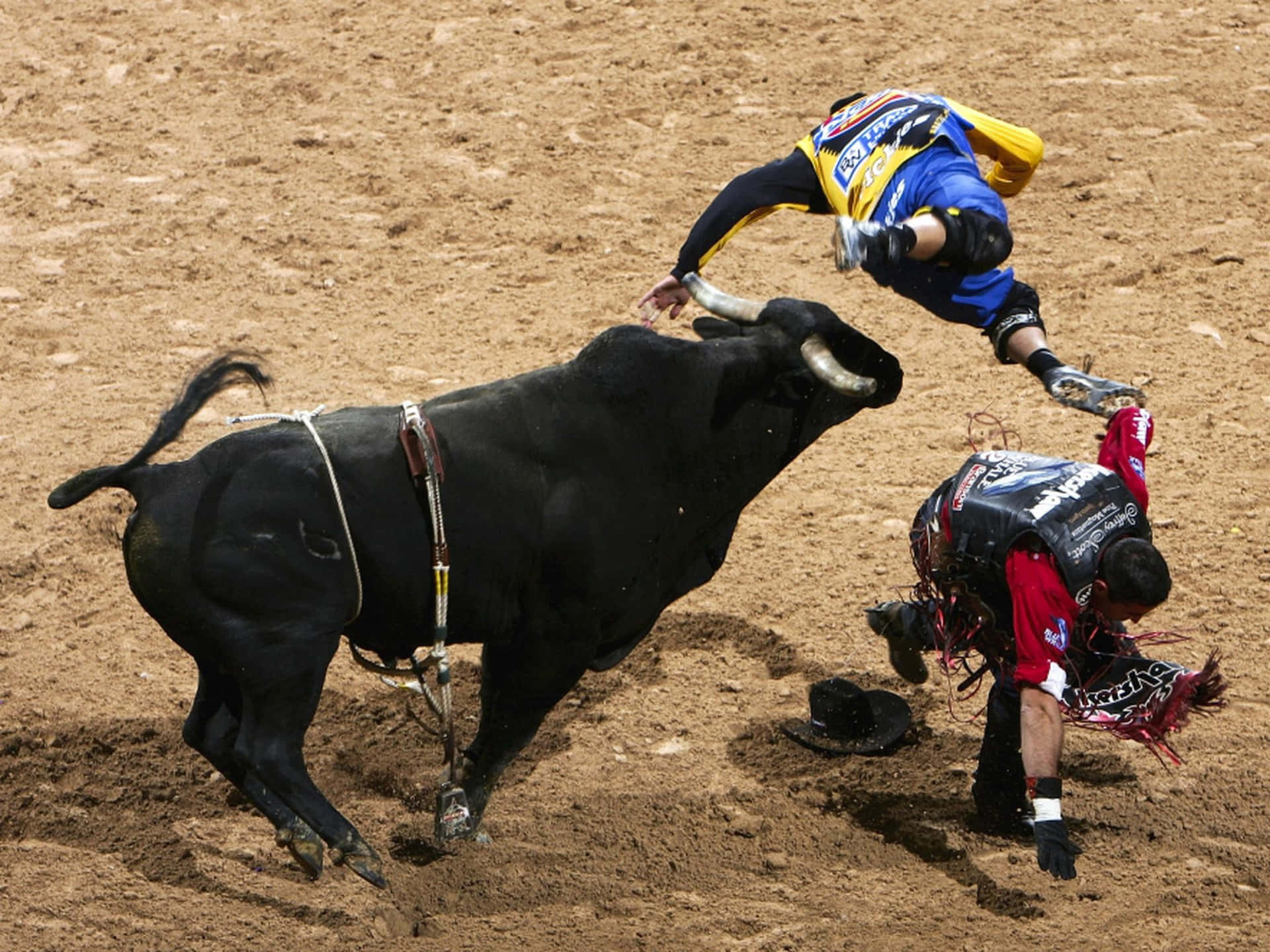 A Man Doing What He Loves: Bull Riding