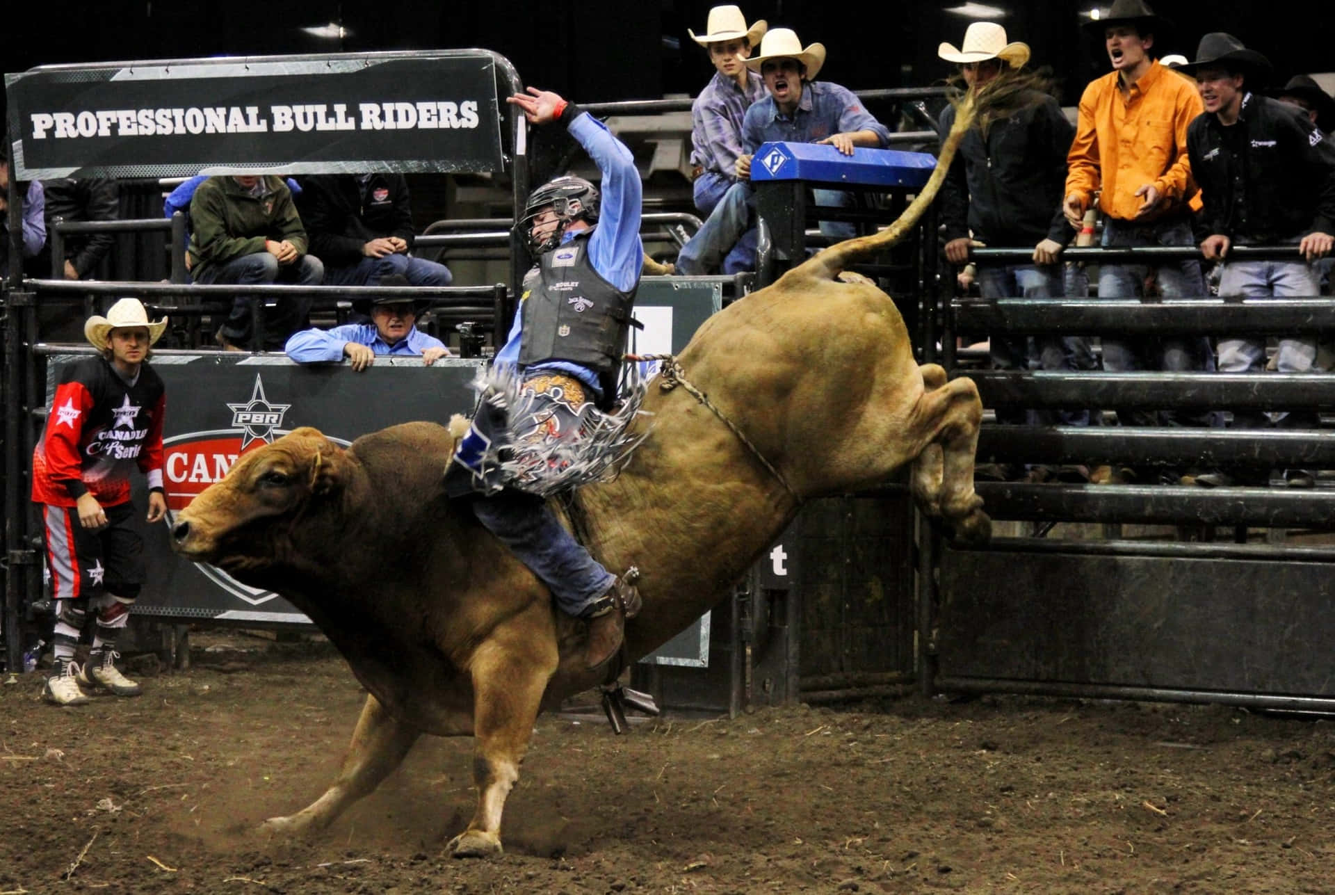 "A brave bull rider determined to take on the challenge"