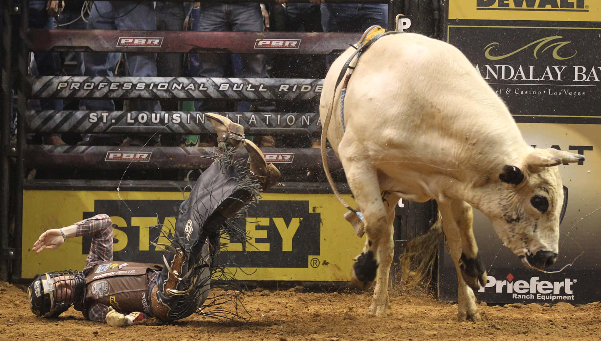 A bull rider heroically stands atop a bucking bull.