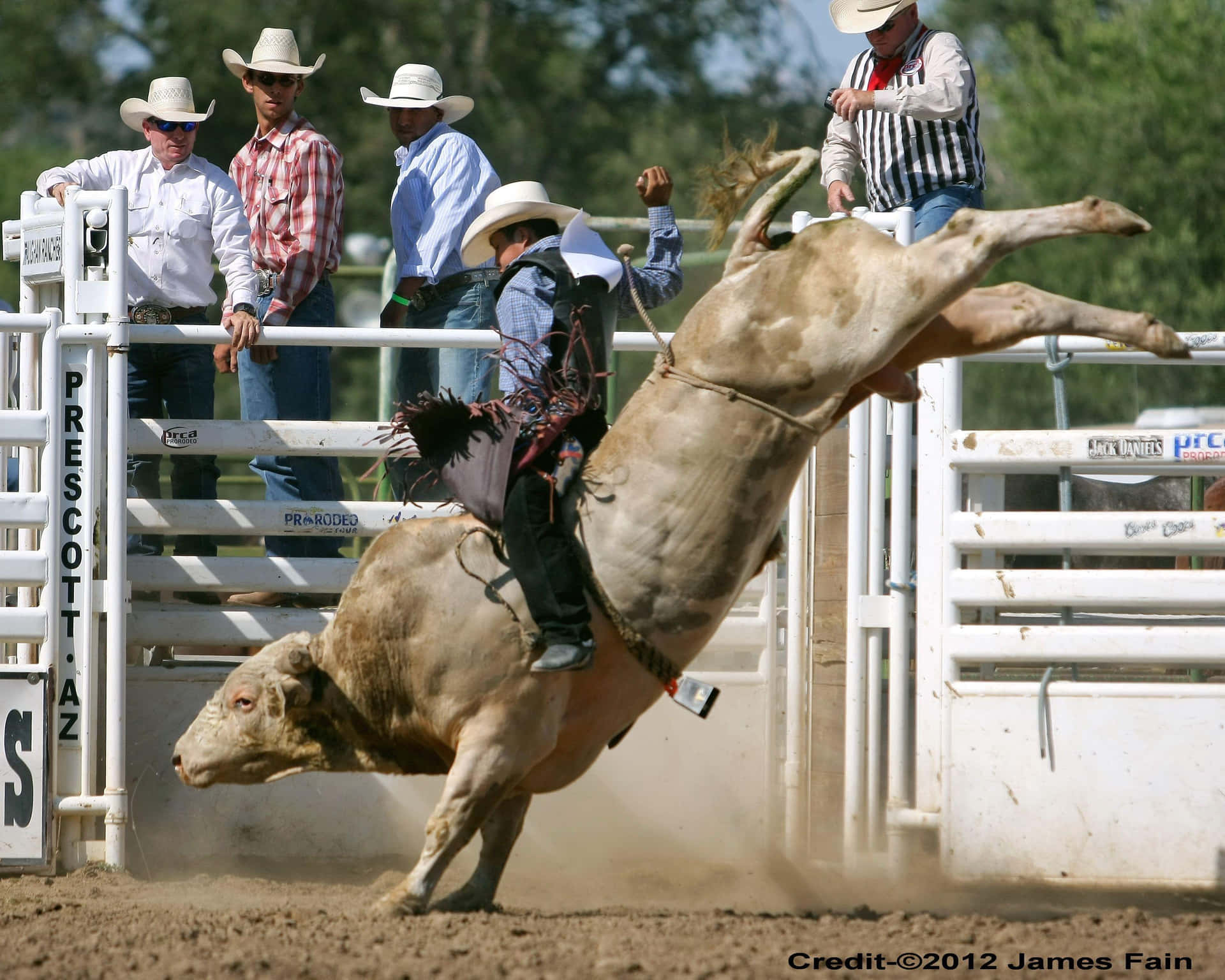 A professional bull rider in the middle of a thrilling eight-second ride.