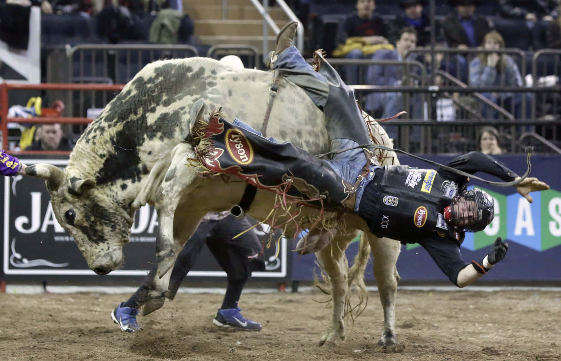 A Man Is Bucking A Bull In A Rodeo