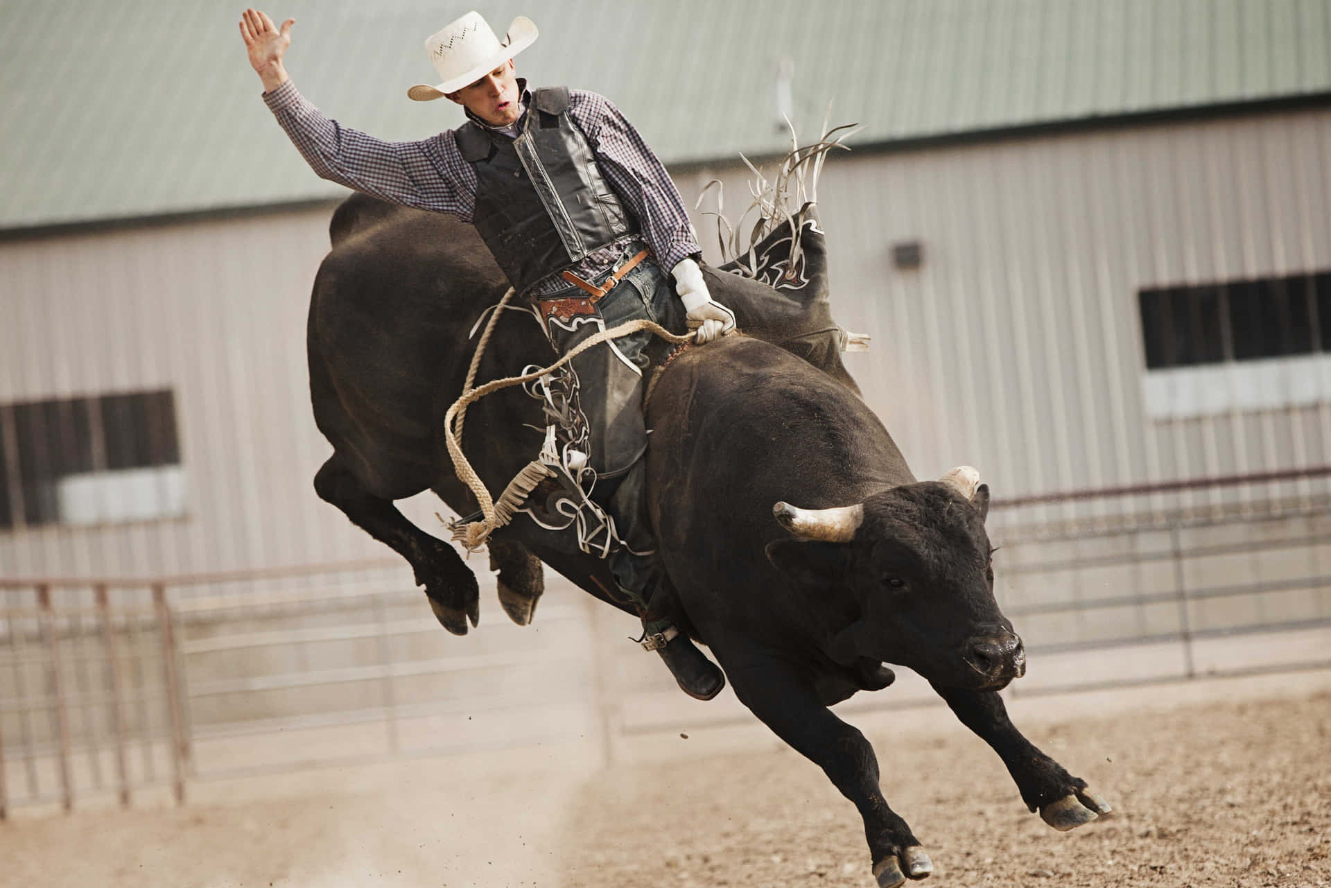 A Cowboy In Top Form During Bull Riding