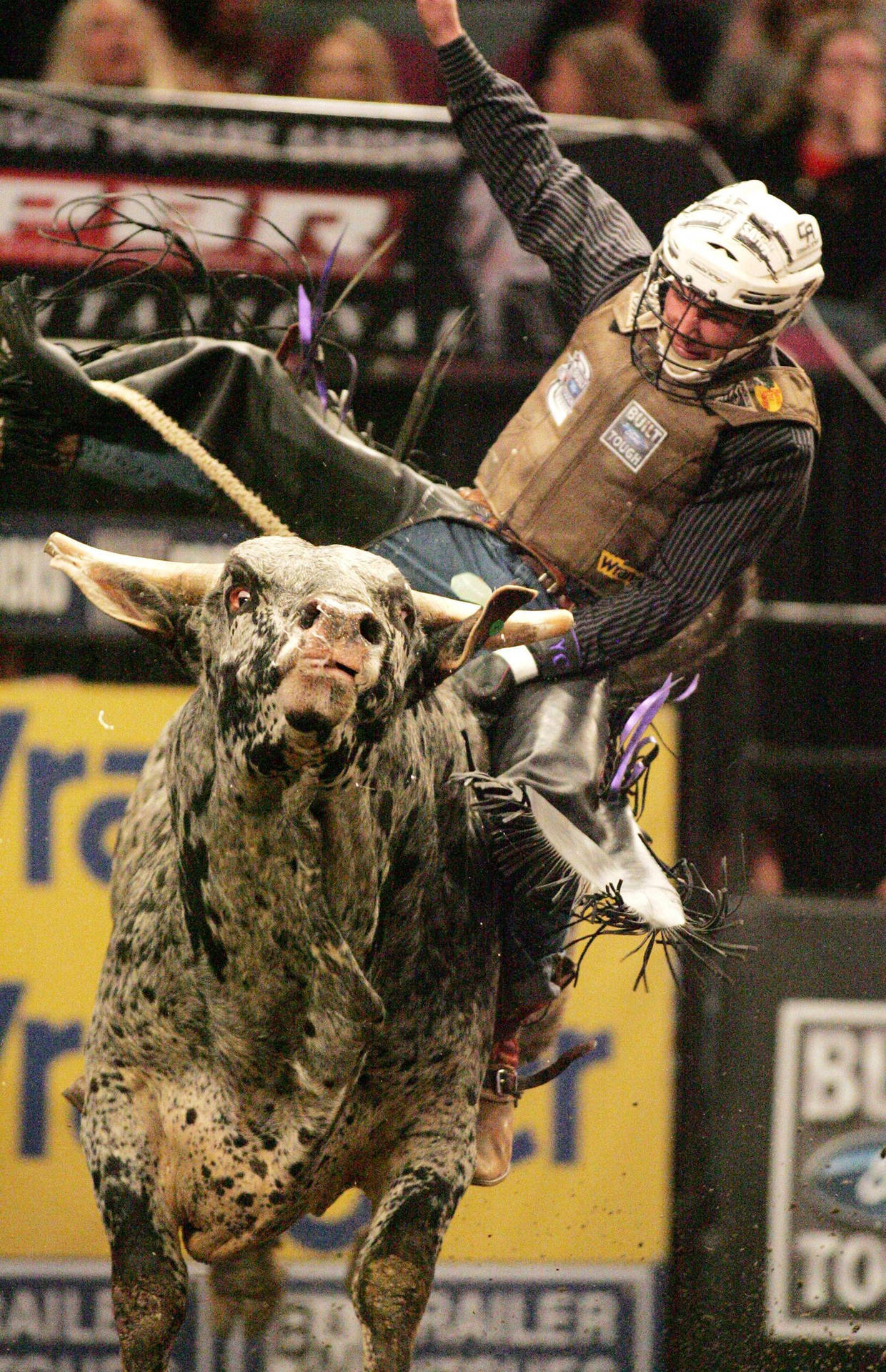 Pbrchute Out Denver Bull Riding - Pbr Chute Out Denver Tjurfrittning. Wallpaper