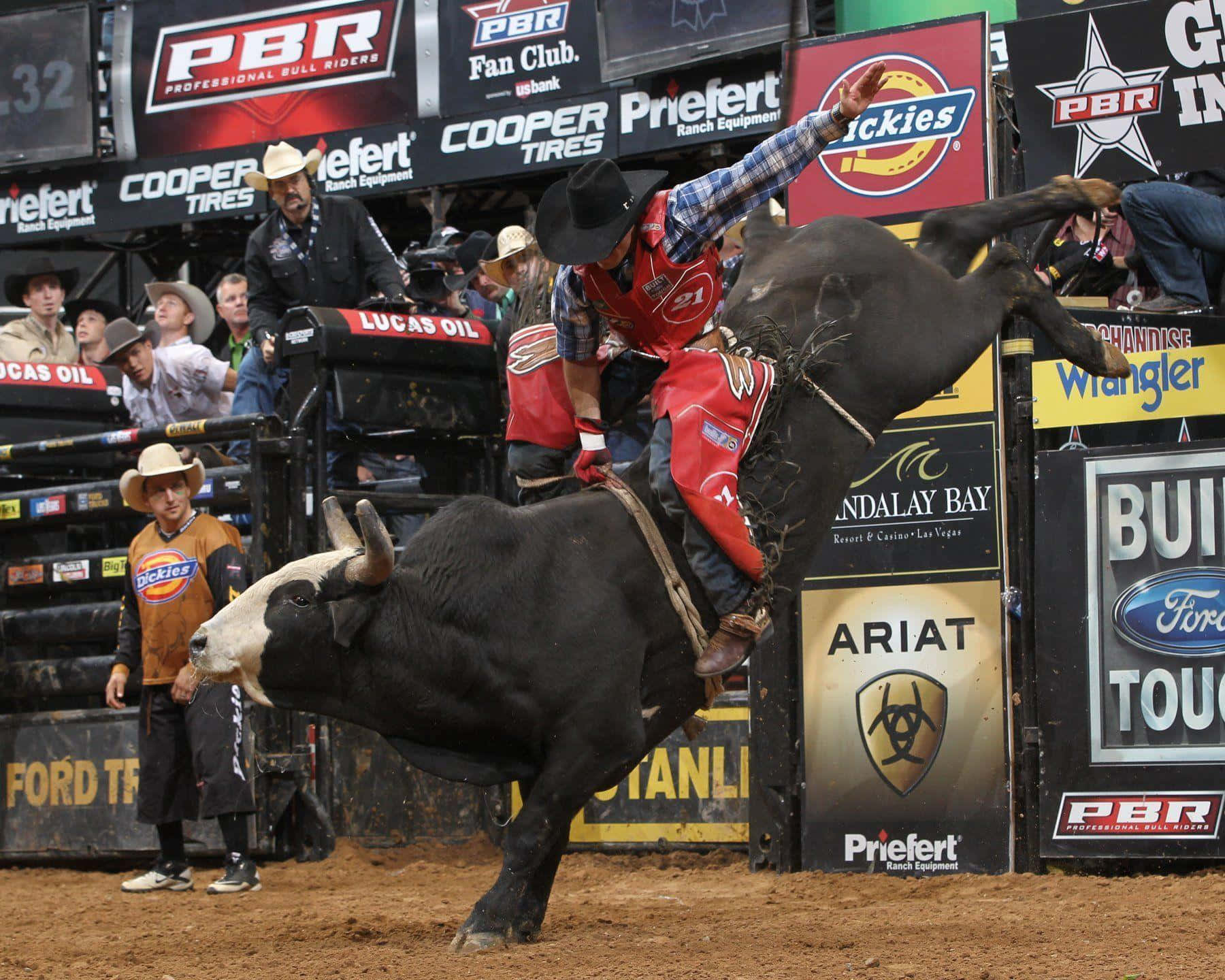 Bull Riding Actionat P B R Event Wallpaper