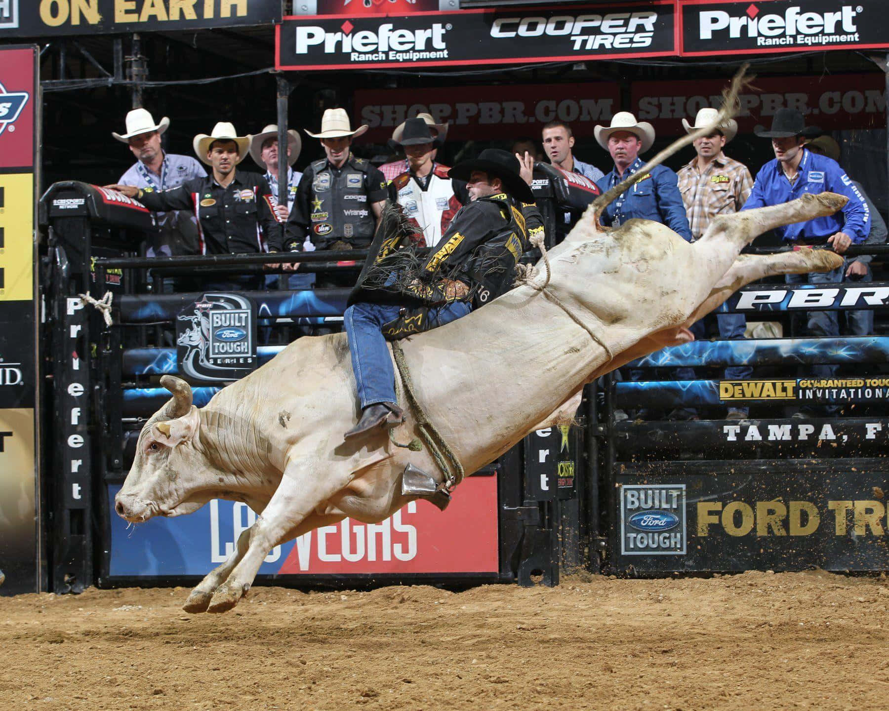 Bull Riding Actionat P B R Event Wallpaper