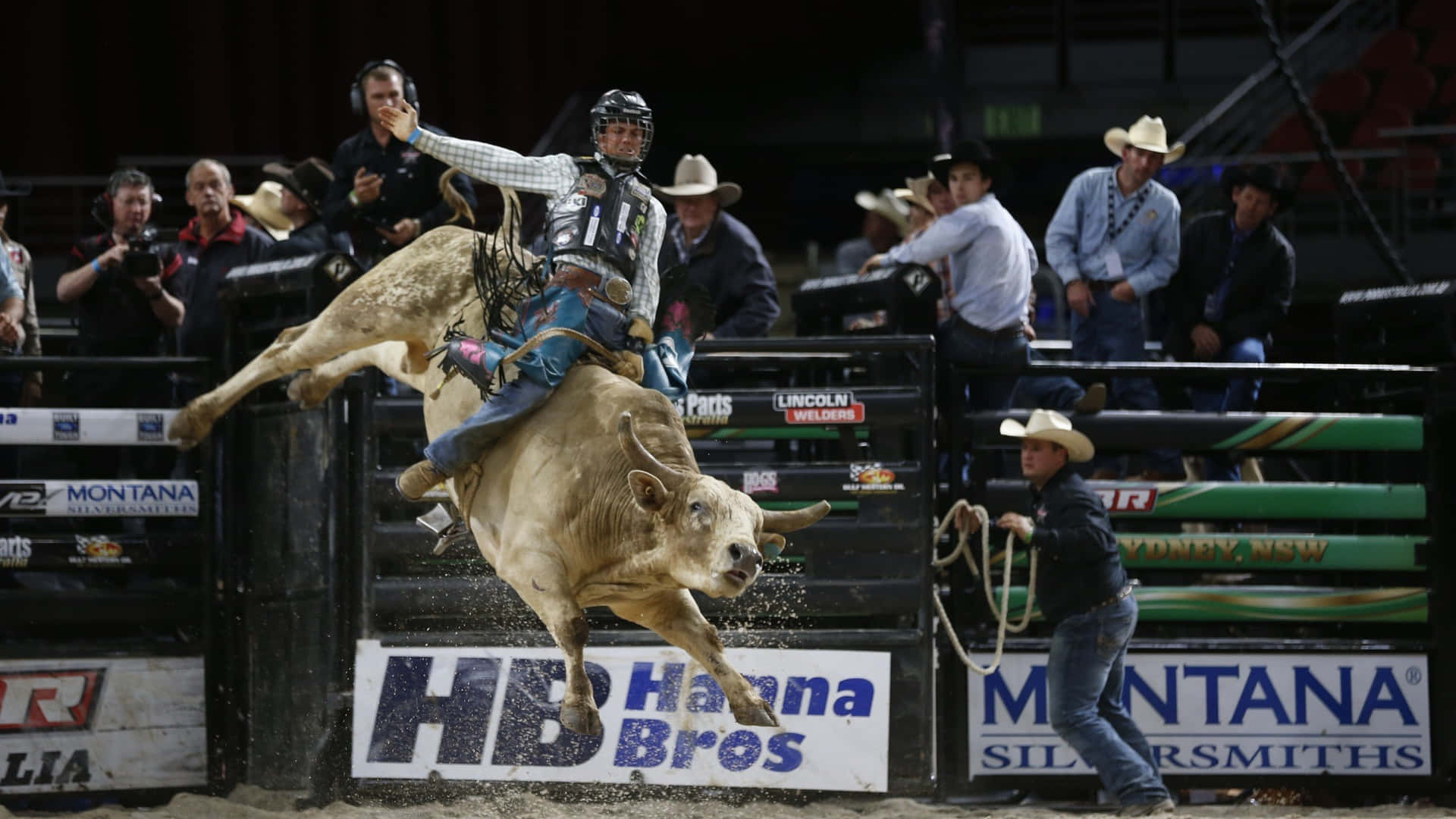 Bull Riding Actionat Rodeo Wallpaper