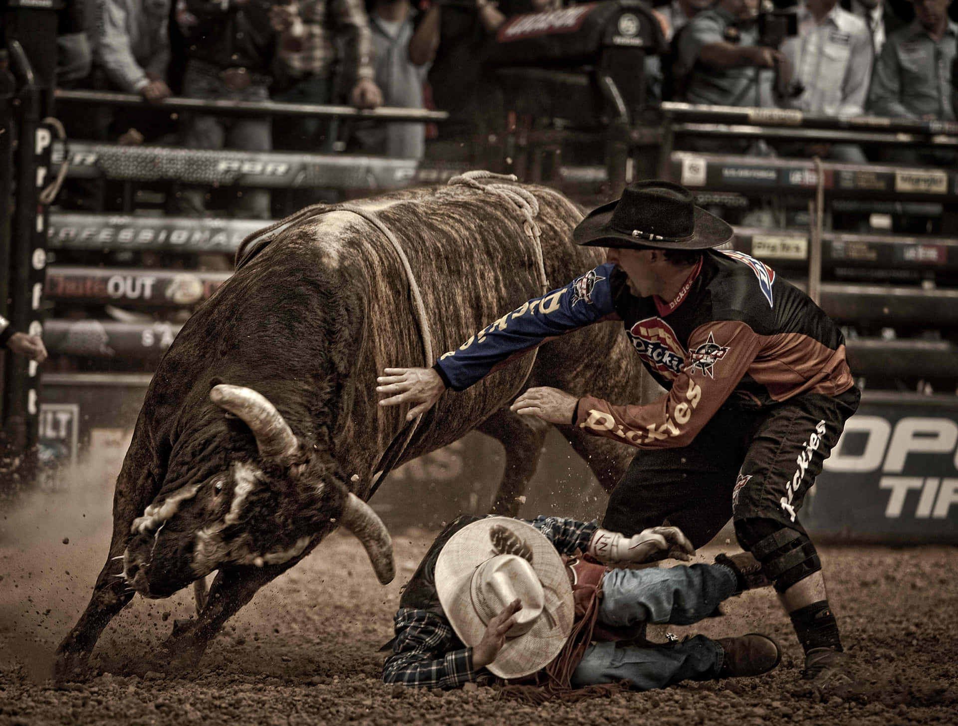 Download Bull Riding Fall Assistance Wallpaper | Wallpapers.com