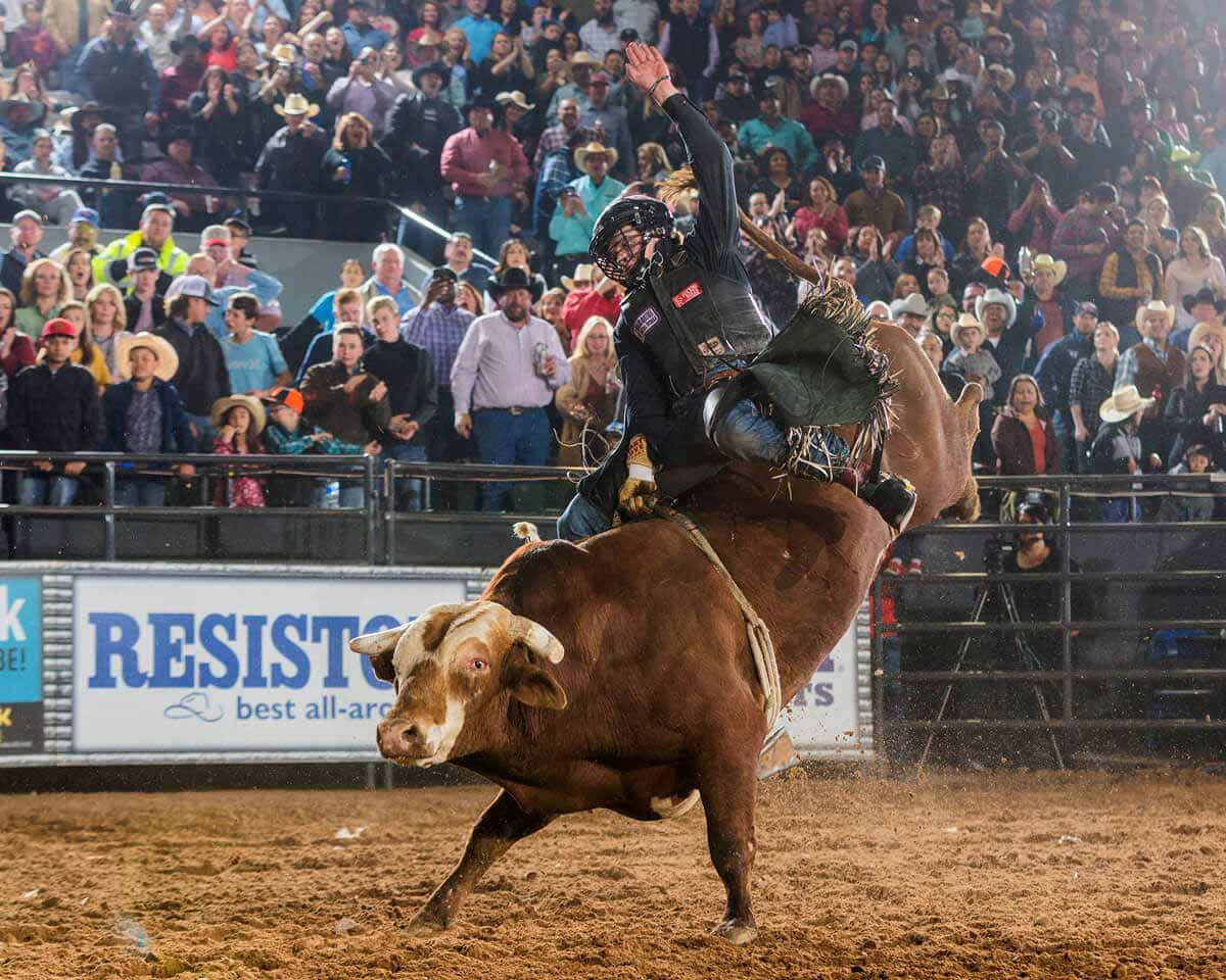 Exciting Bull Riding