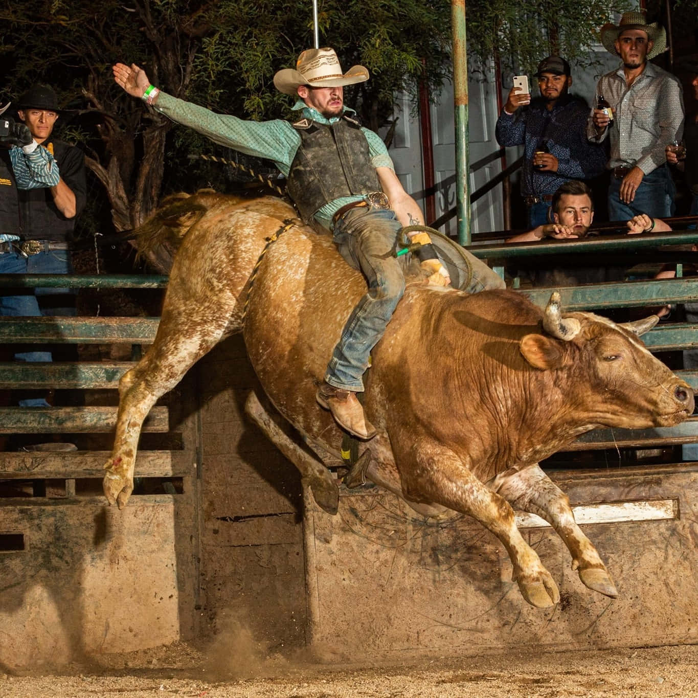 A Man Riding A Bull