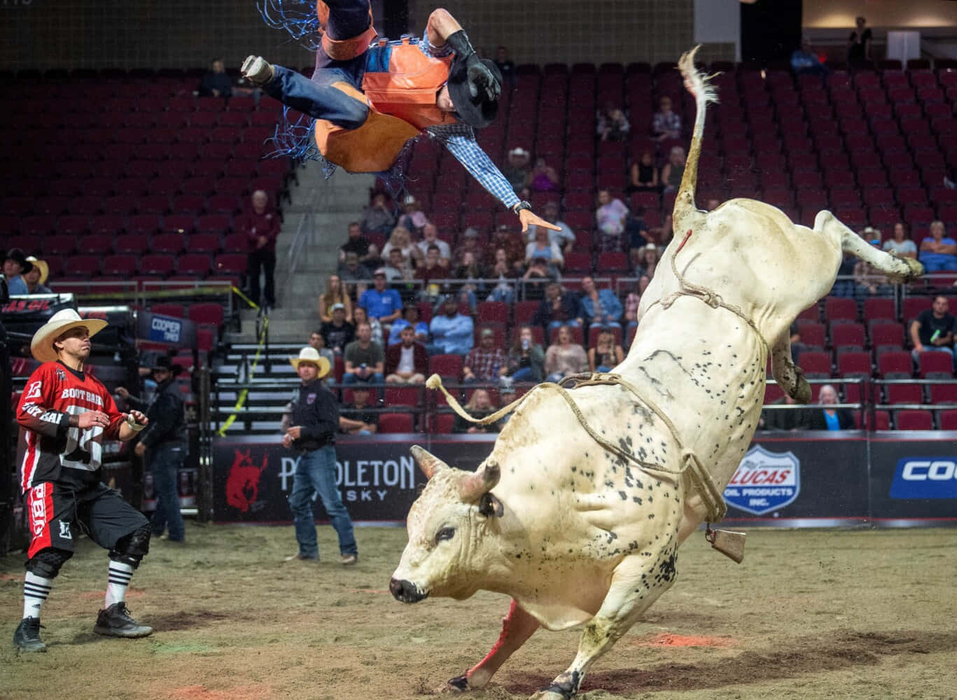 A Brave Bull Rider Experiences the Thrill of the Rodeo