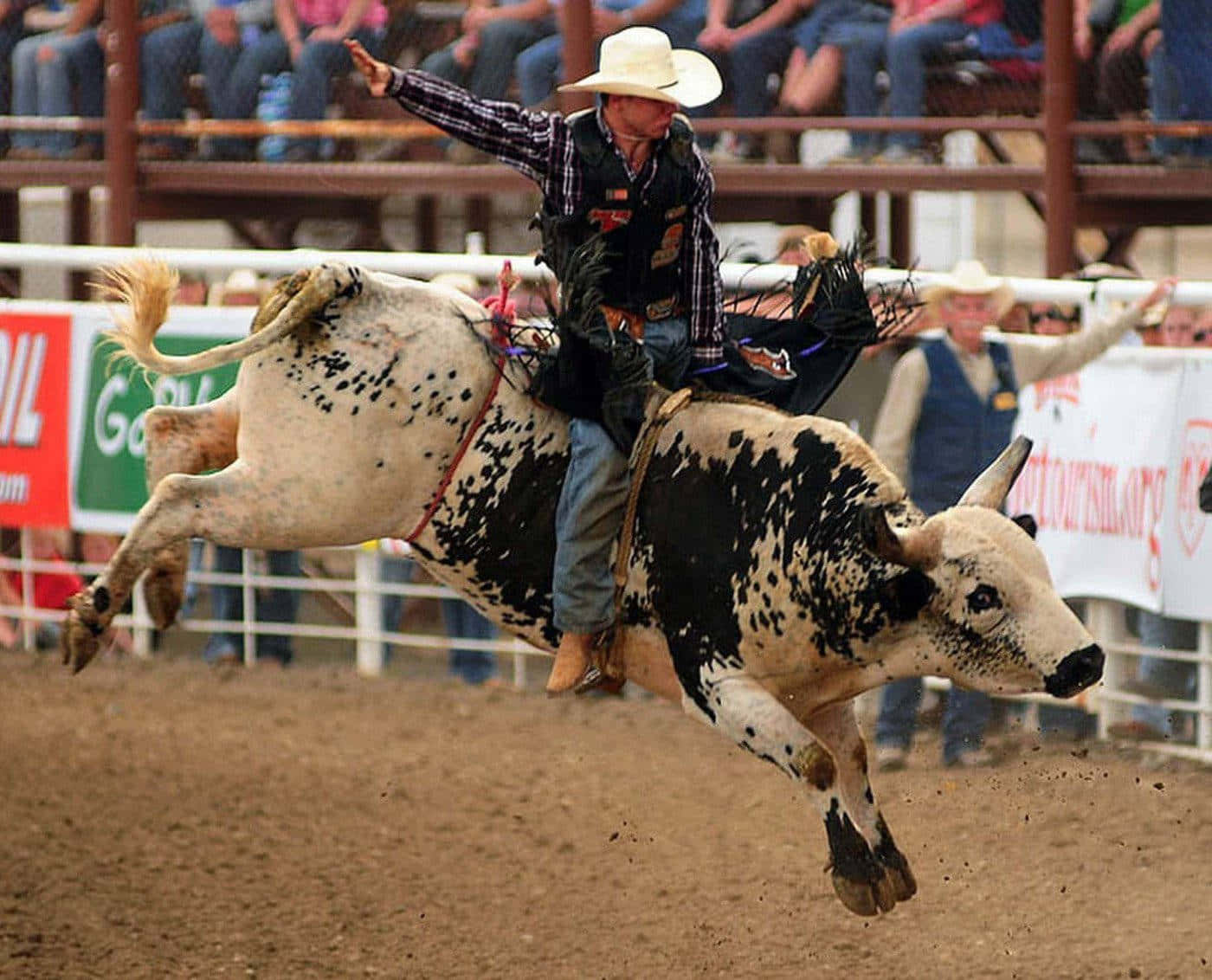 "Fearless Cowboys Riding the Wild Bull"