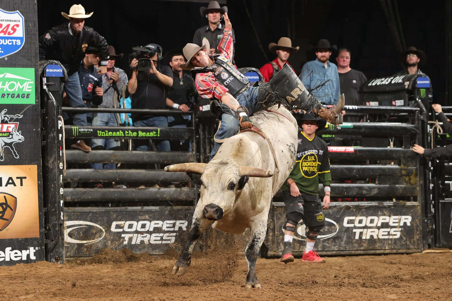 A Cowbow Showing his Skills in Bull Riding