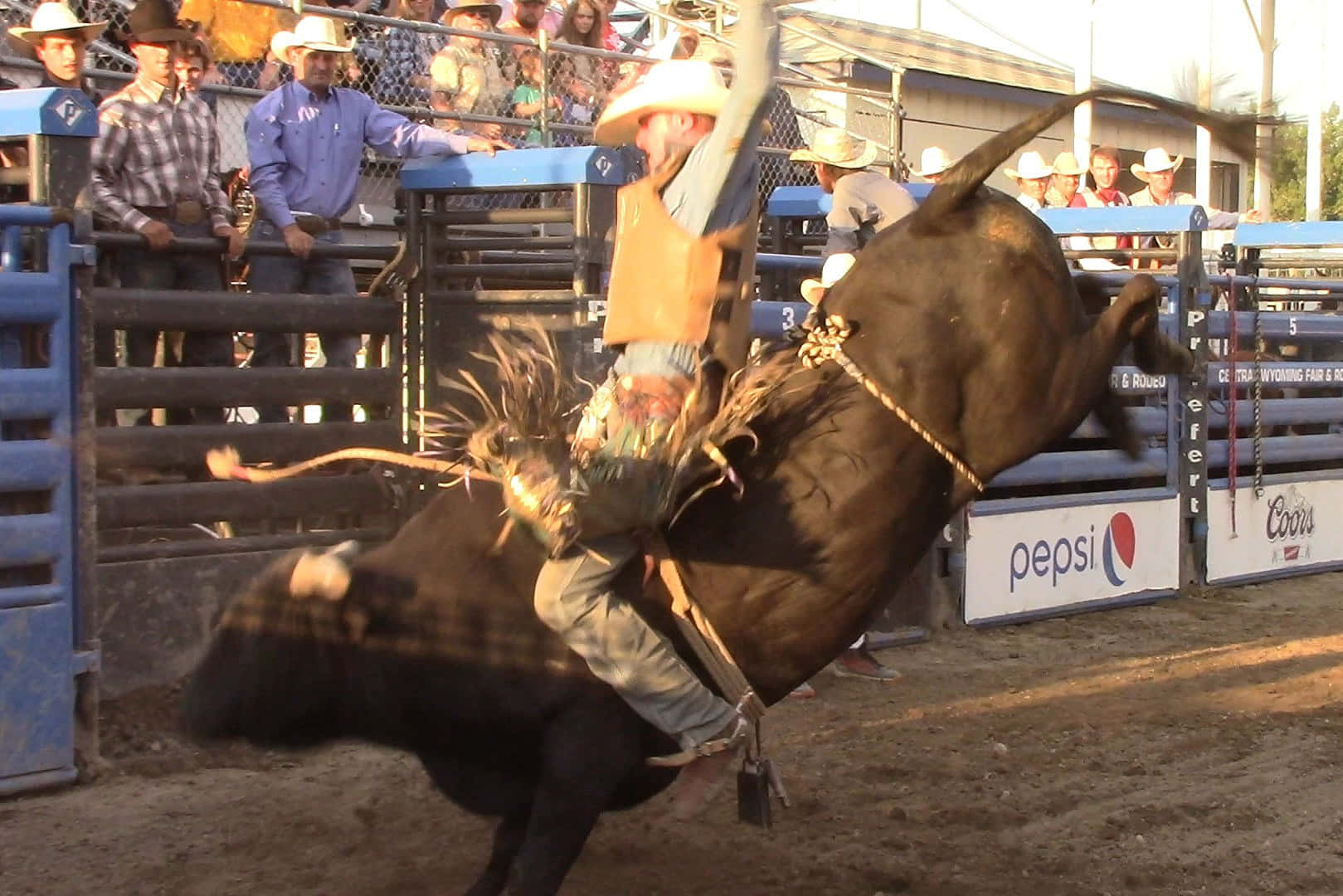 "Cowboys put their guts and gumption on the line when they compete at Bull Riding"