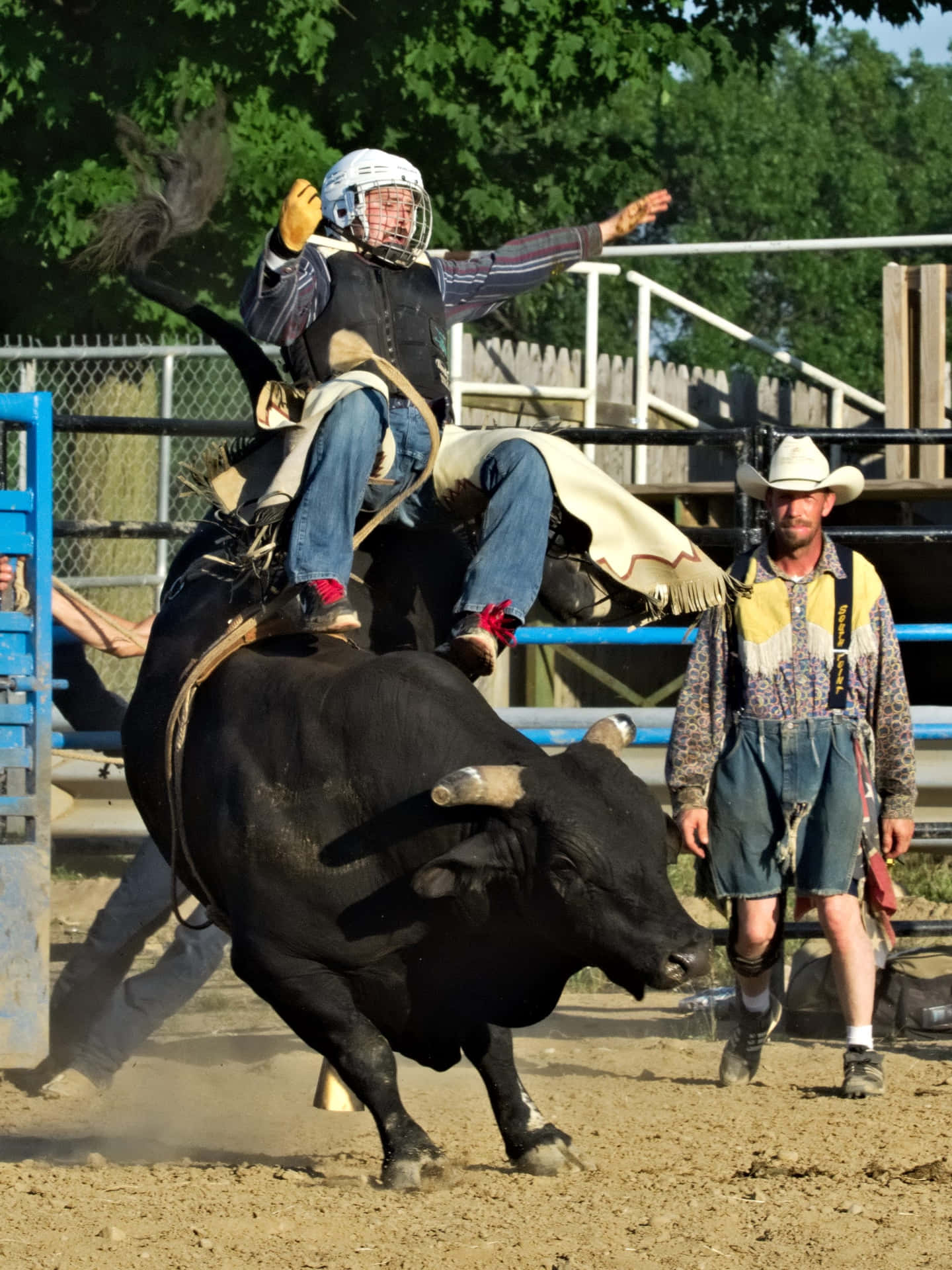 A Professional Bull Rider Showing Off His Skills
