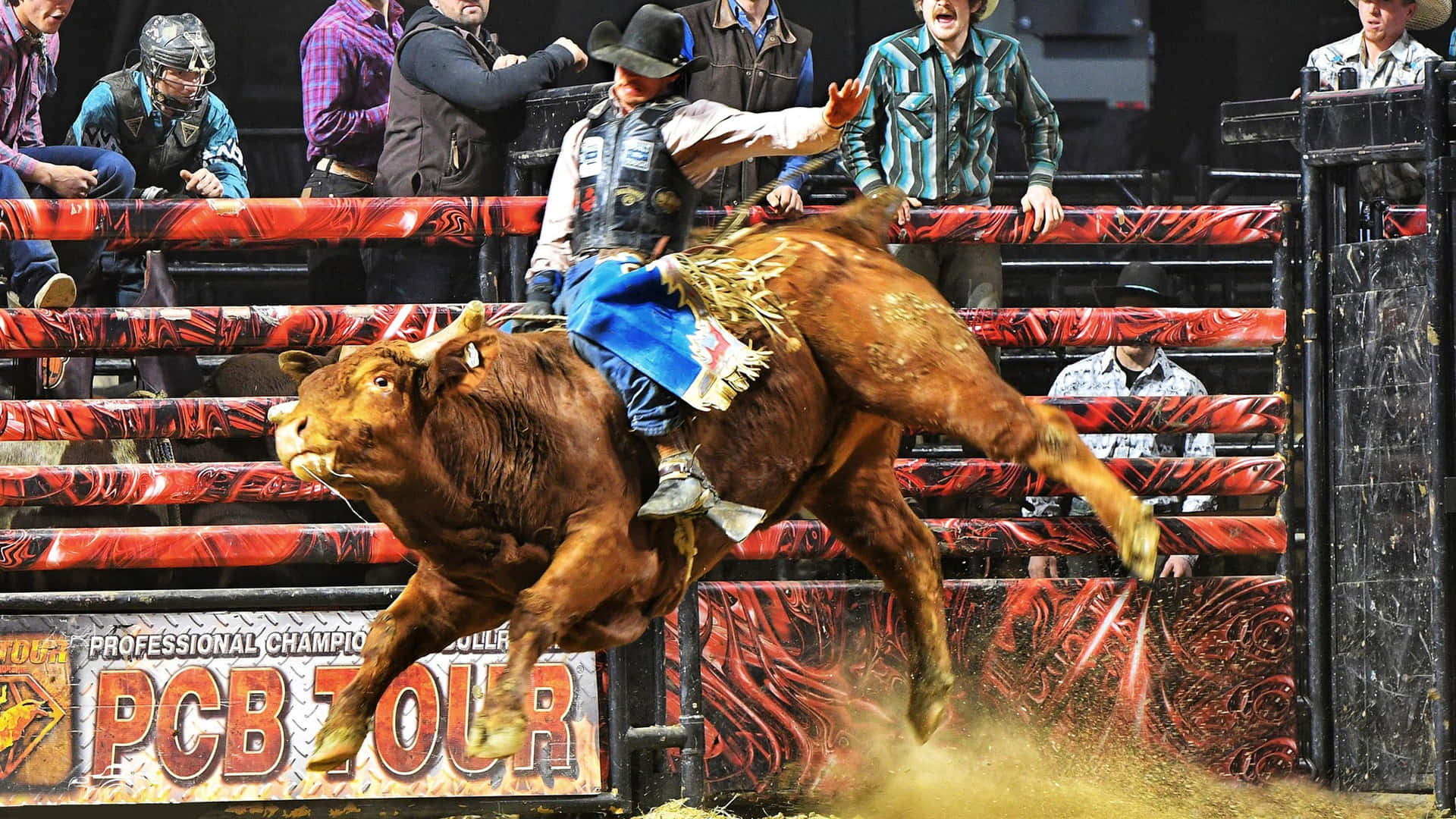 Professional Bull Riders take on the toughest bulls on their way to glory.