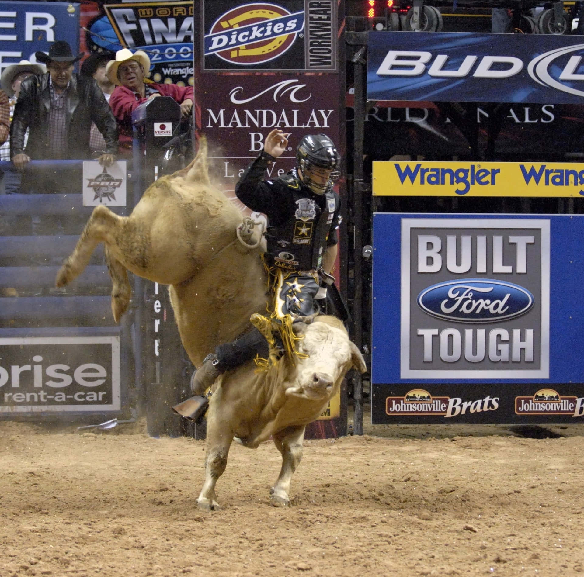 Straddling a Beast: Professional Bull Rider Clings On
