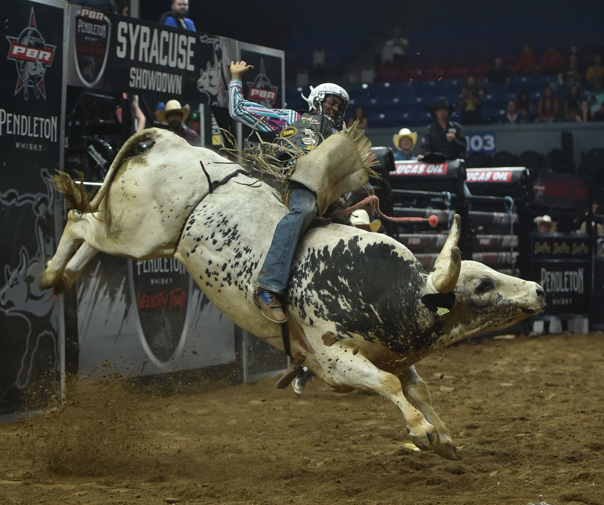 A Professional Bull Rider competes against the beast