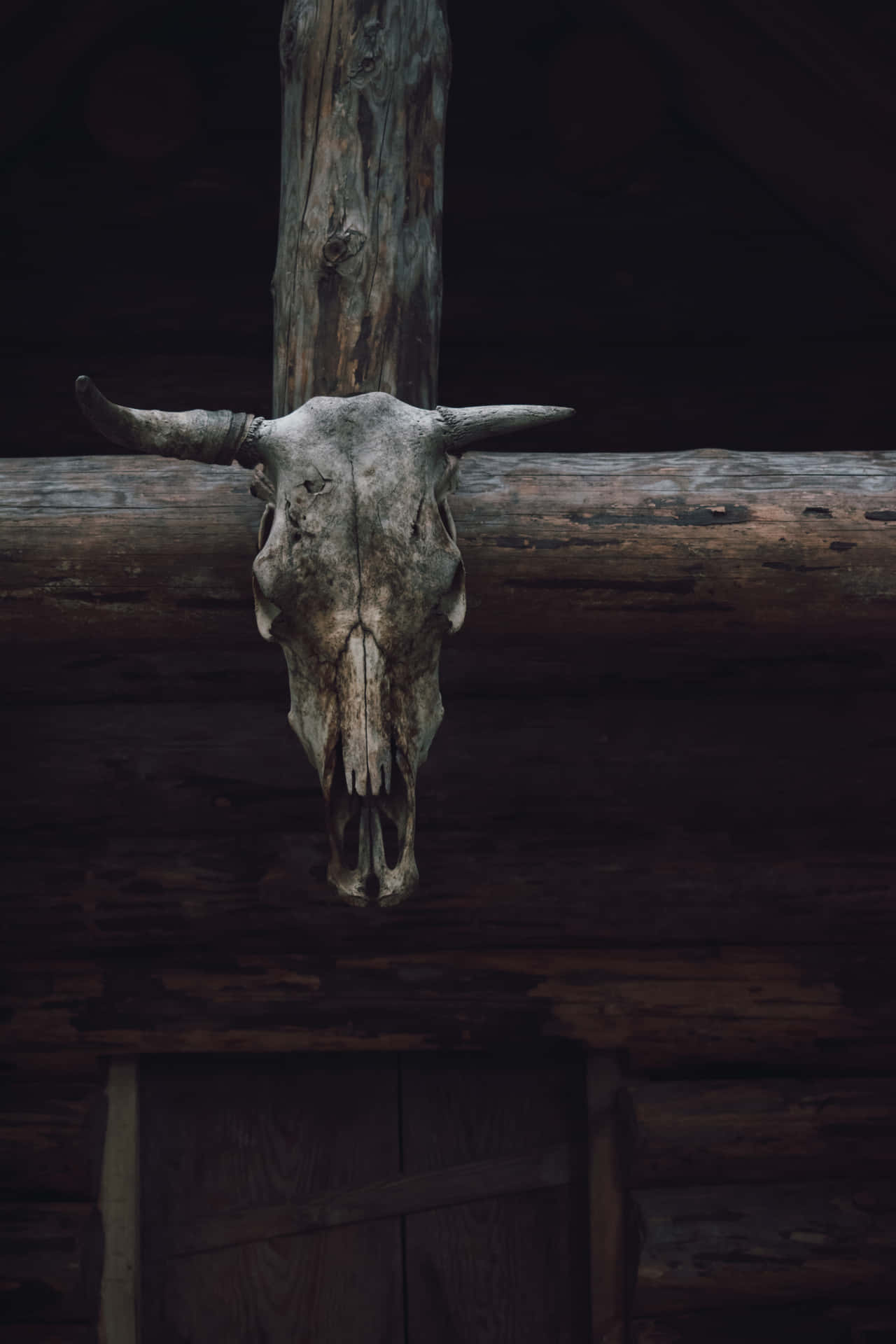 Bull Skull On A Cabin Wallpaper