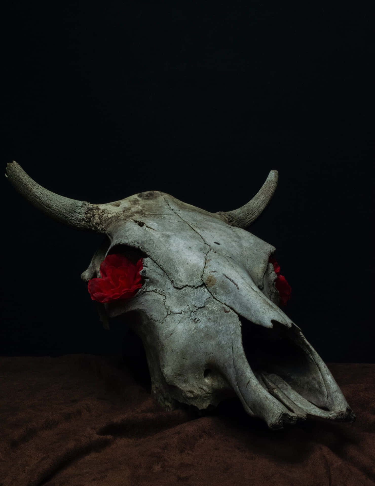 Bull Skull With Red Roses Wallpaper